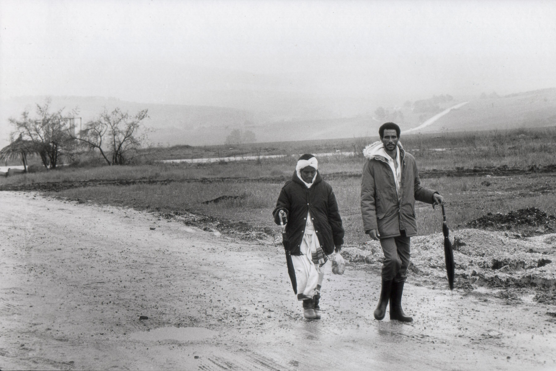 Route 65, Lower Galilee, Israel