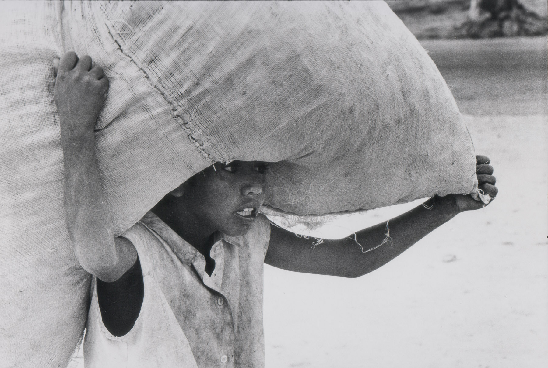 Bedouin Boy, Southern Sinai