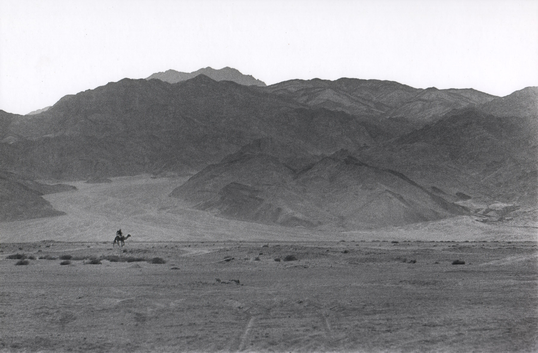 Desert scene, Dahab, Sinai Desert 
