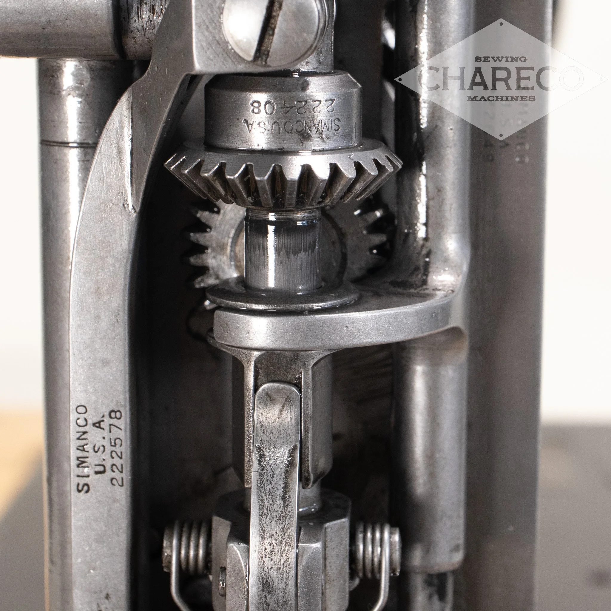Renee_rebuild_white-05.jpg
