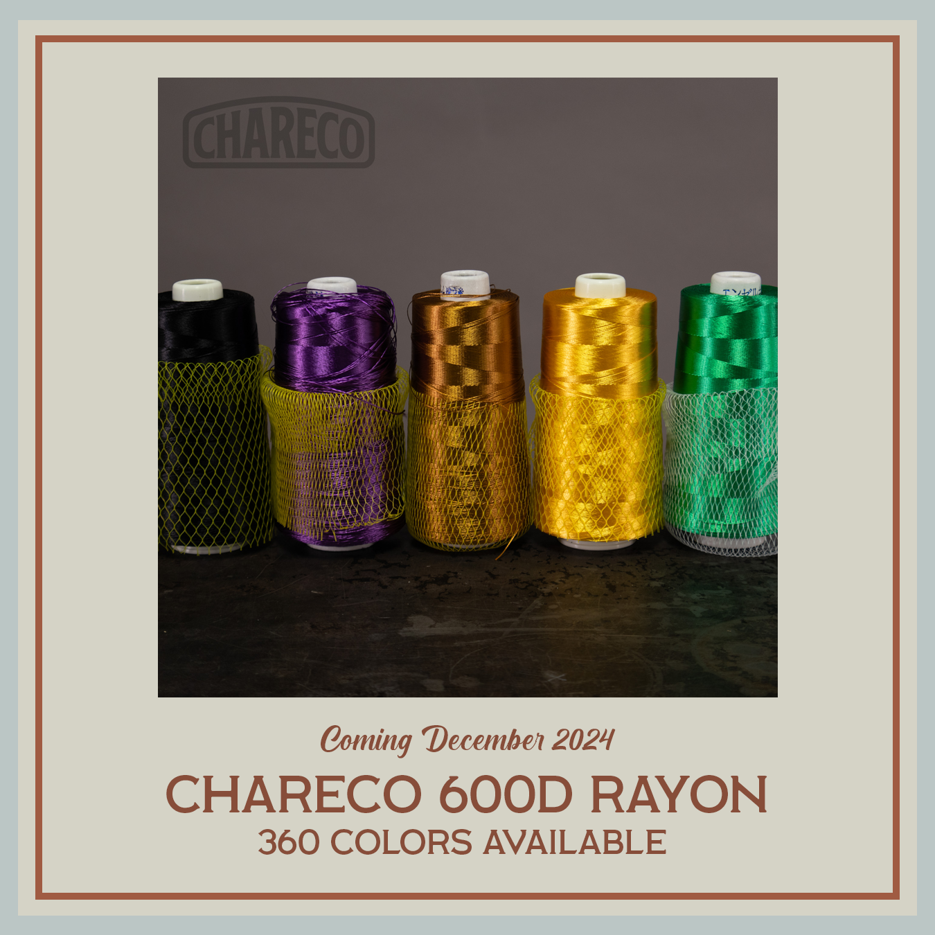 Rayon_softlaunch1.png