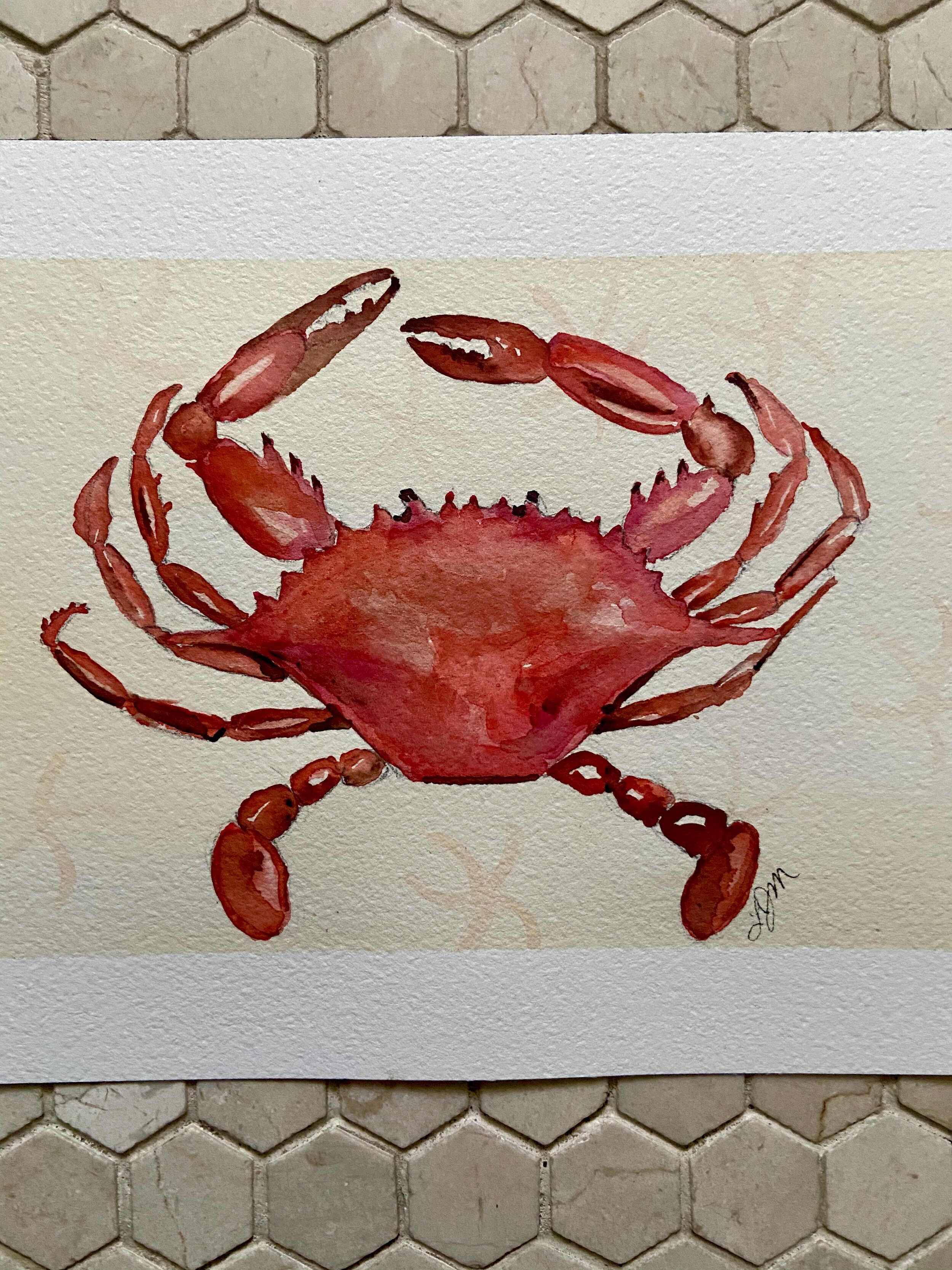 36B crabby.jpeg