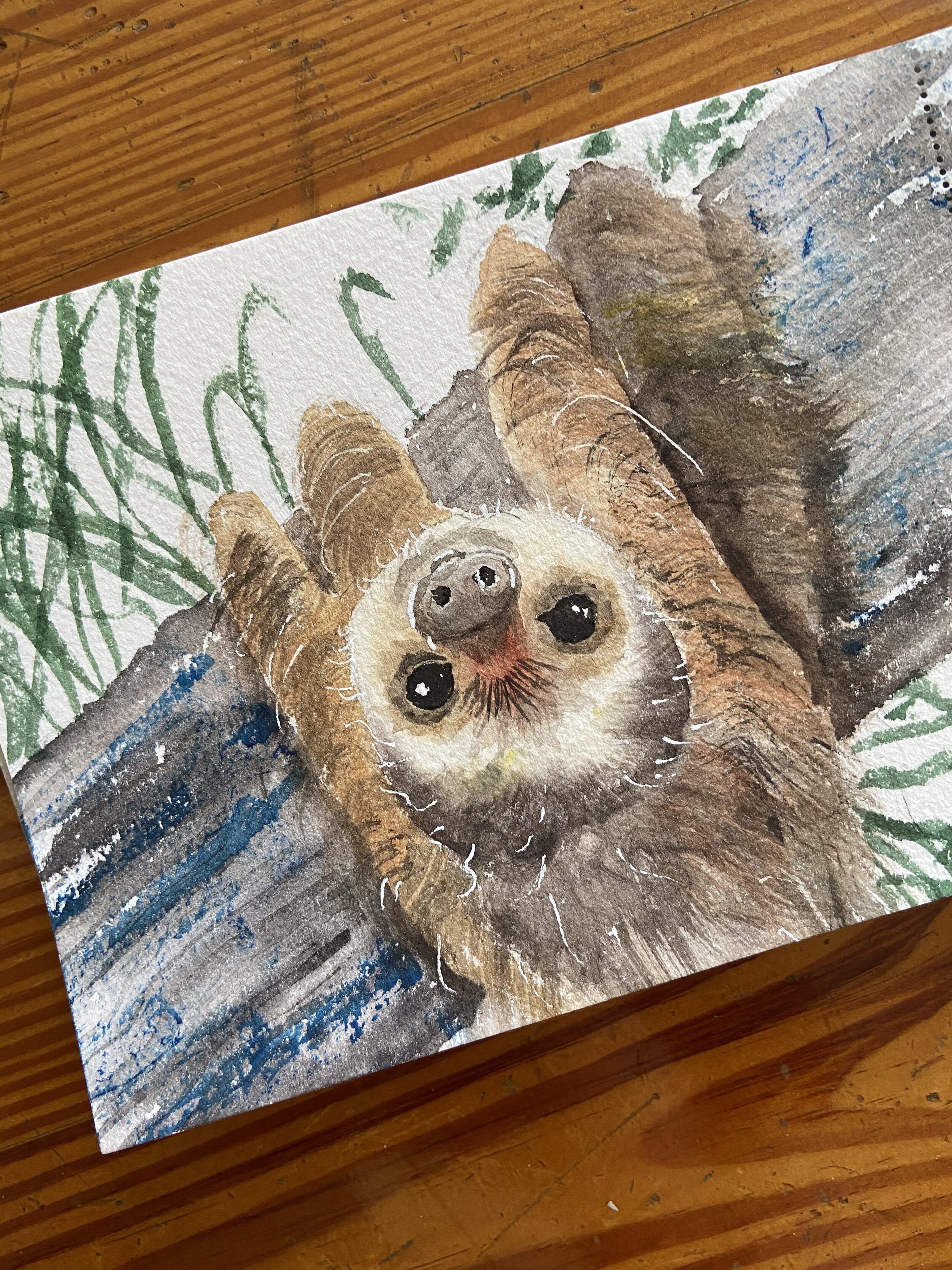 35 sloth.jpeg