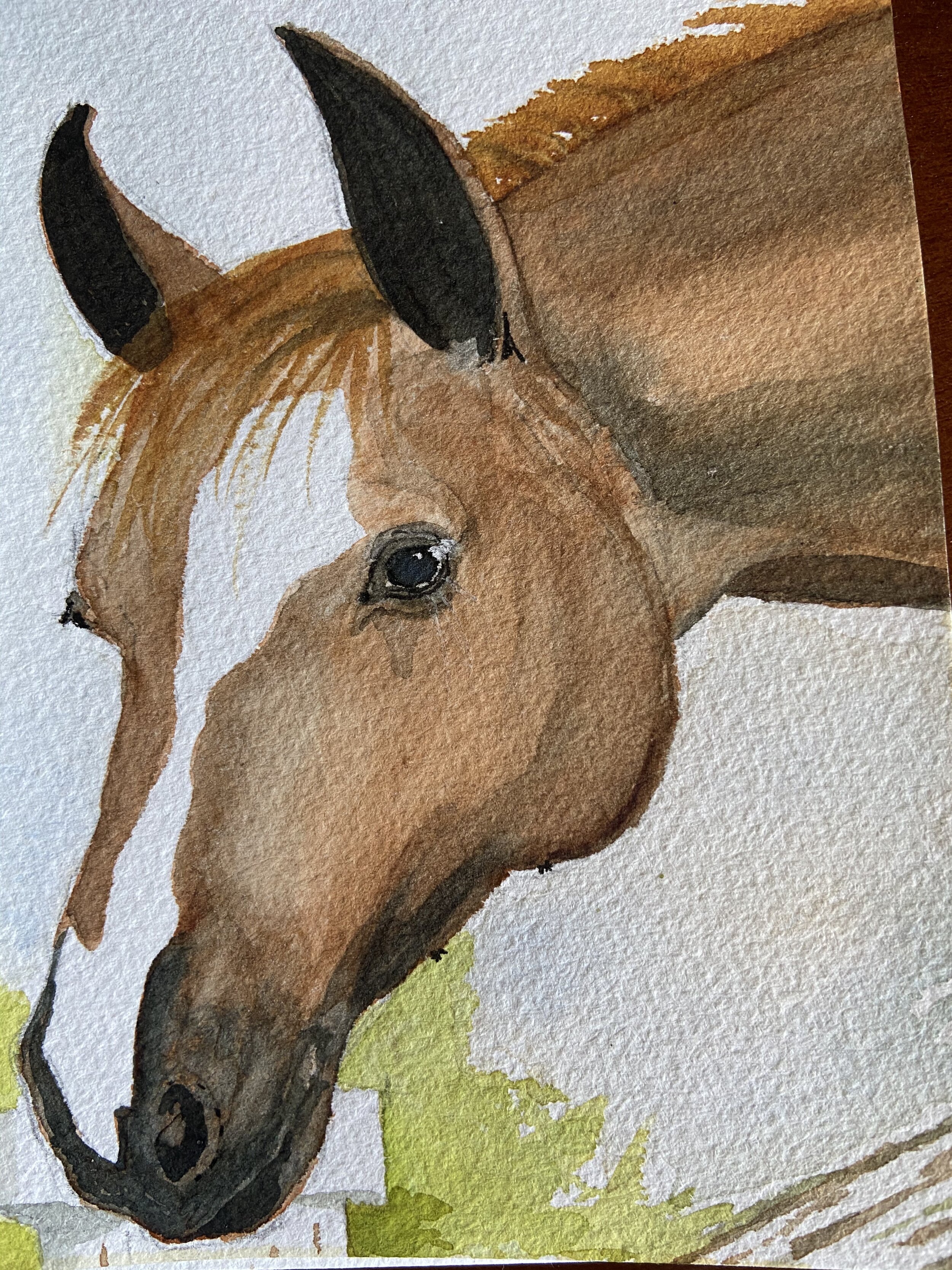 33 a horse of course.jpeg