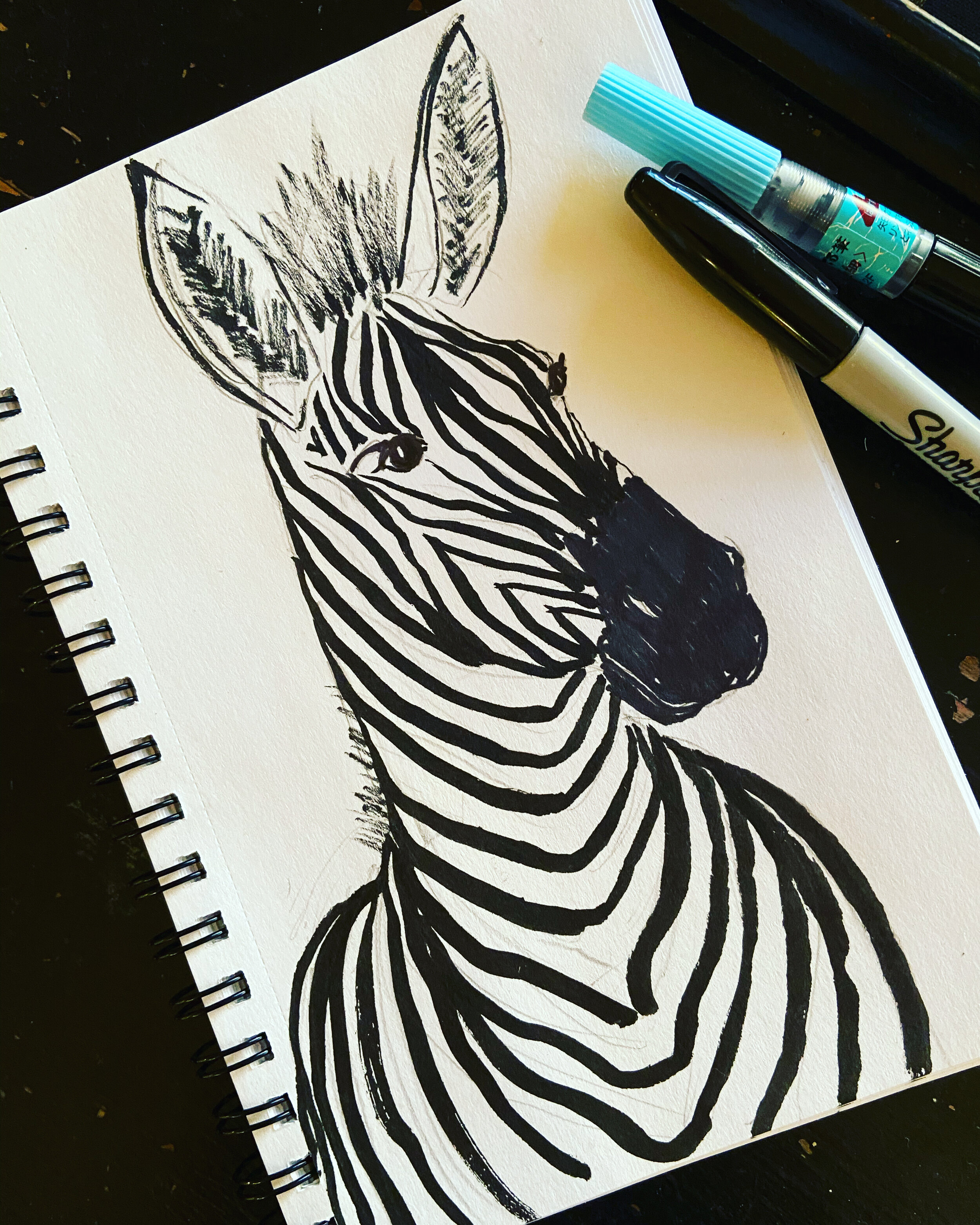 24 zebra.jpeg