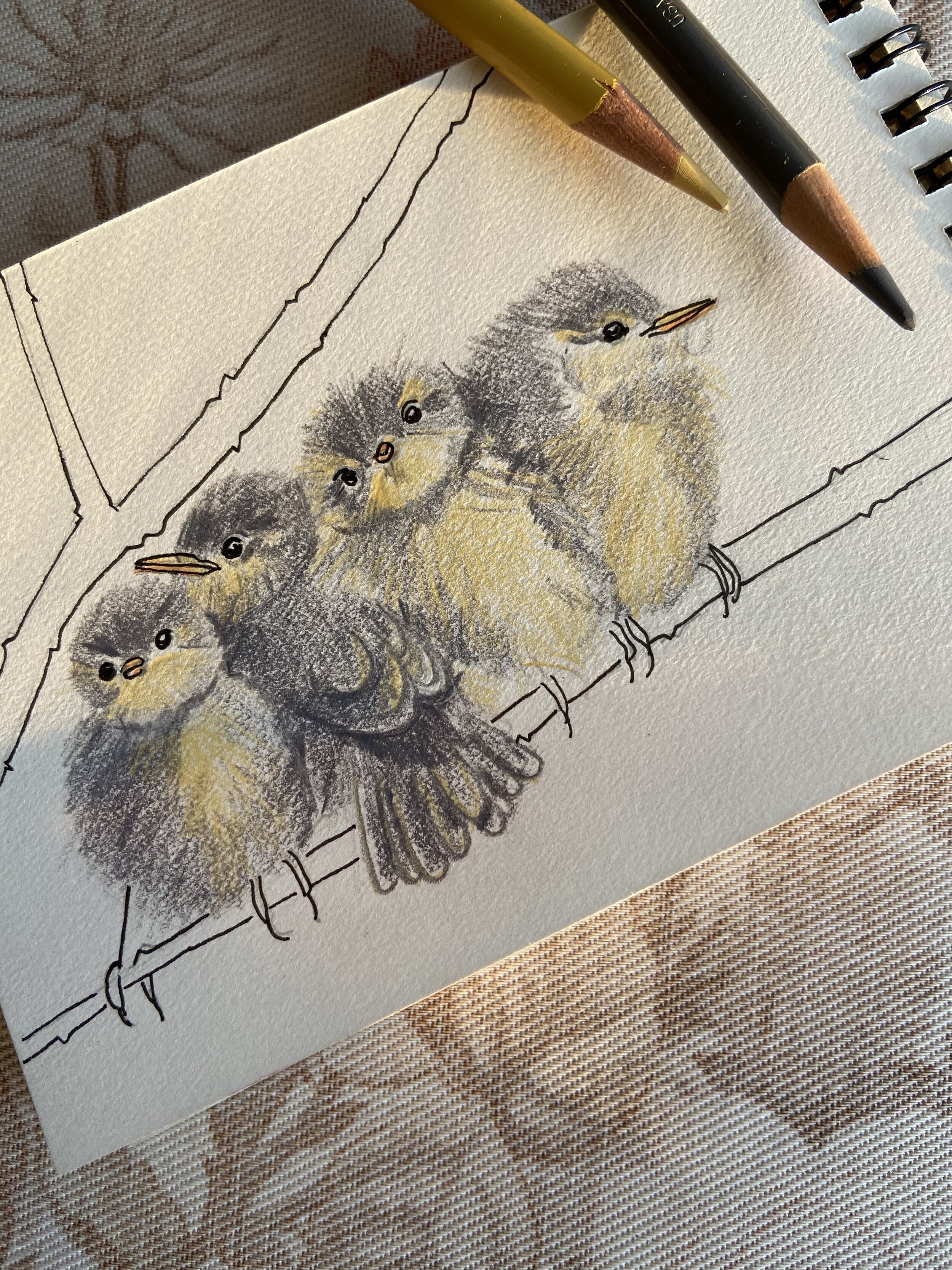 16 fourfluffybirds.jpeg