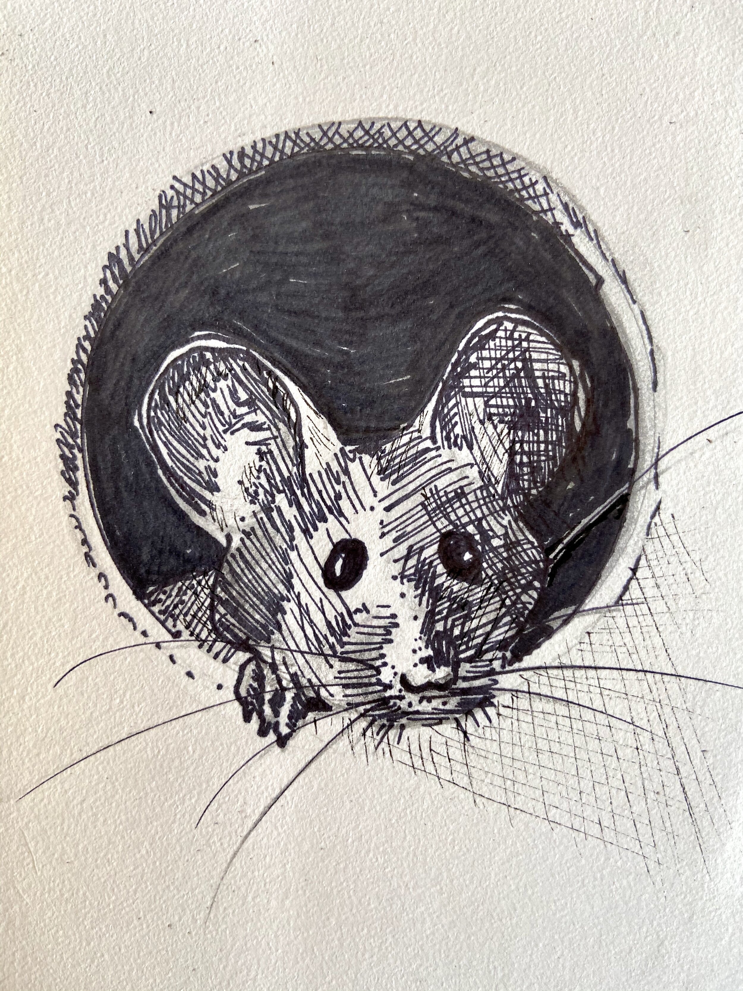 22 MOUSEY.jpeg