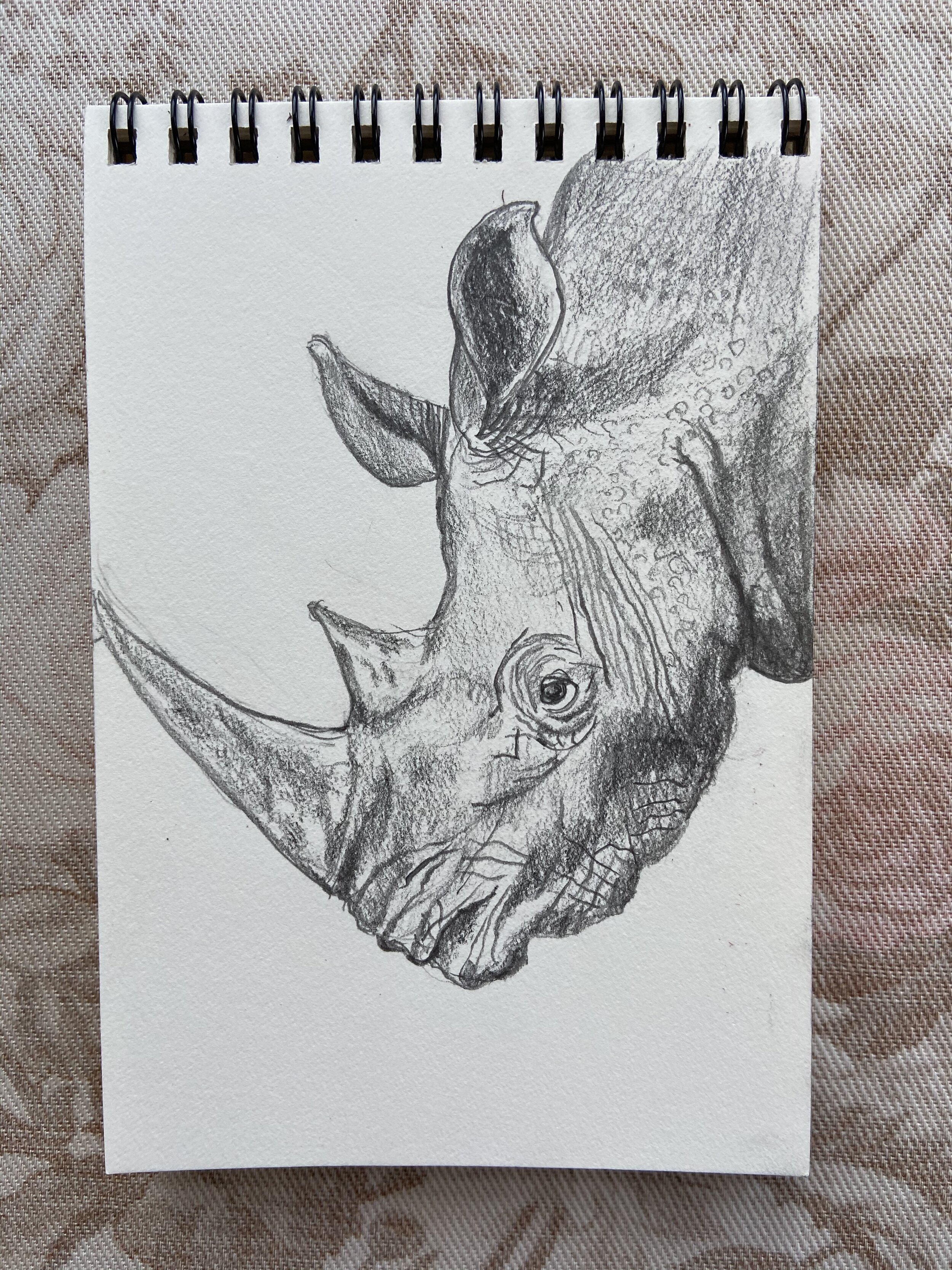 5 RHINO.jpeg