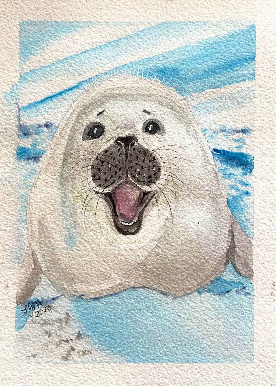 whiteseal.png