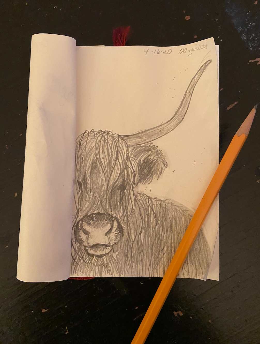 shaggycow.png
