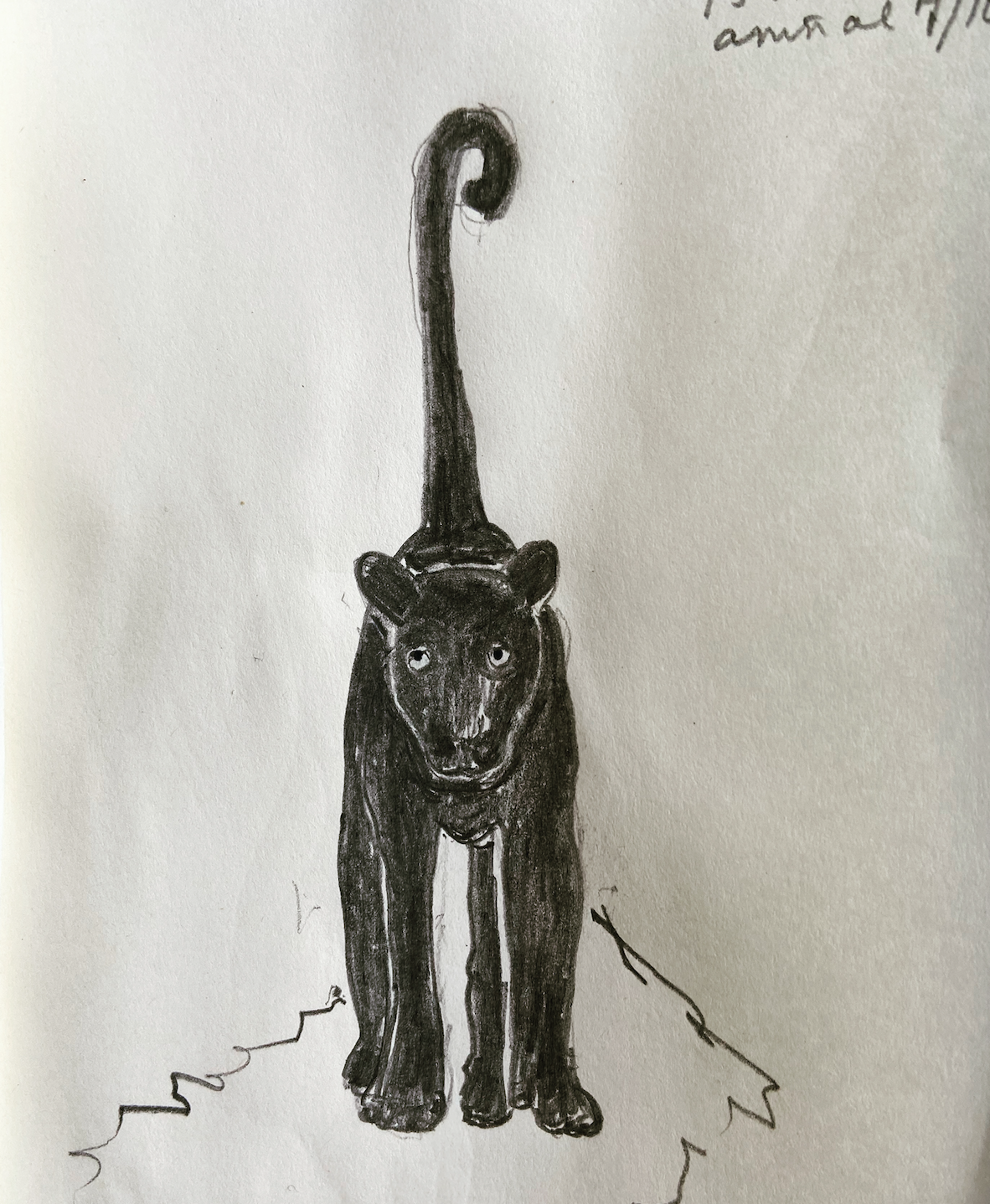 panther.png
