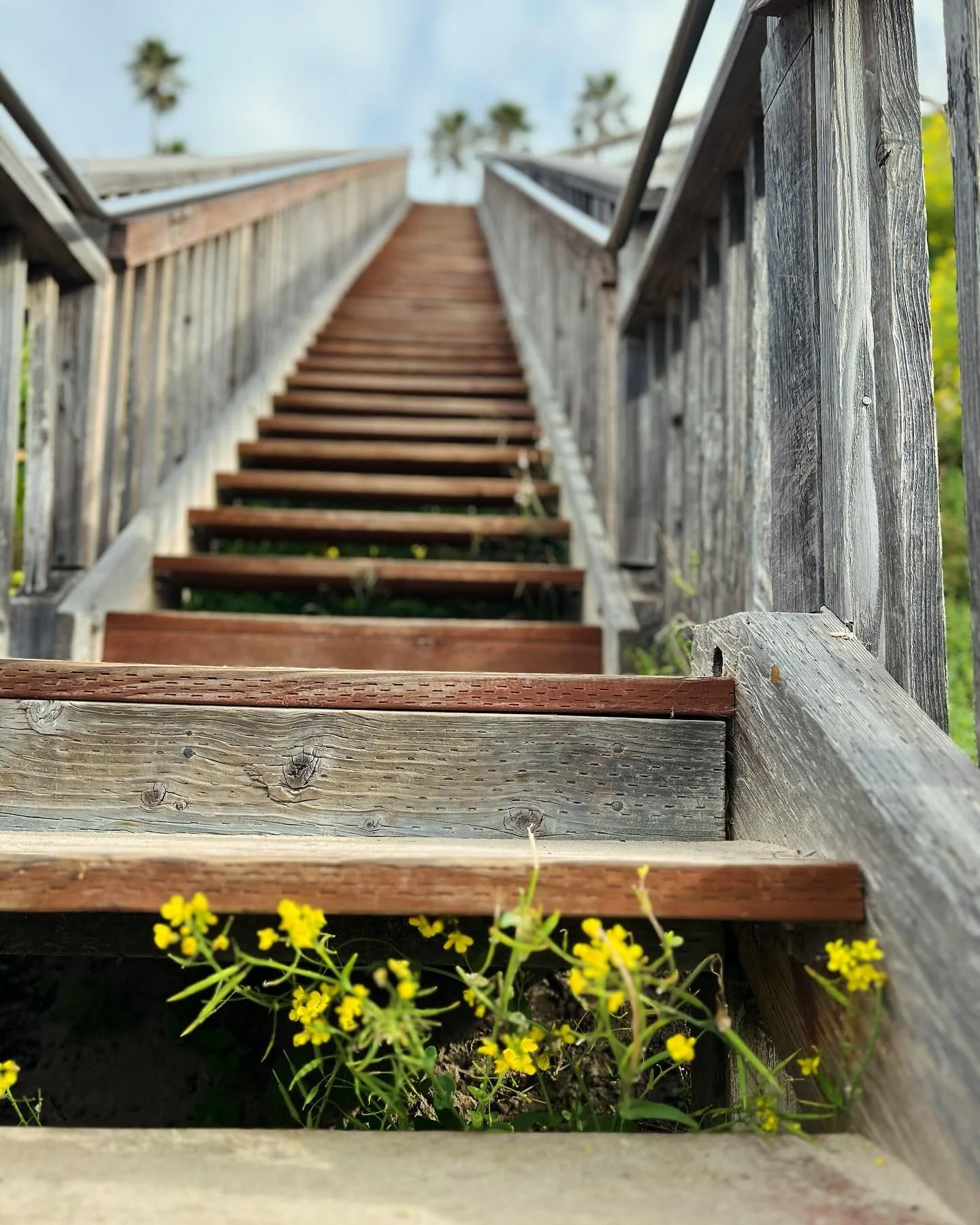 Bloom 
where 
you are 
planted. 
~j