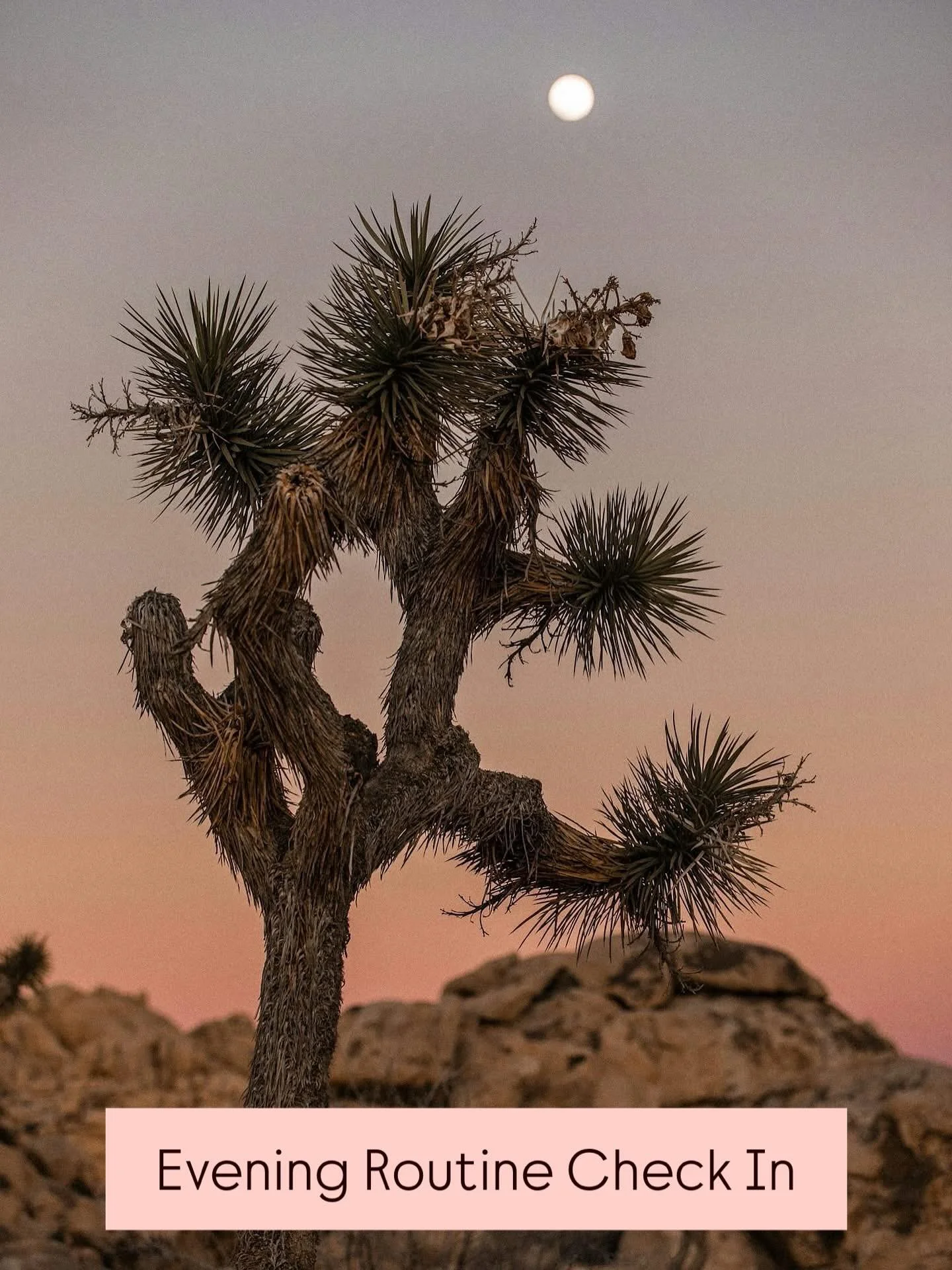 🌙 Evening routine check-in. 

For me, structure creates freedom and ease. My non-negotiables for evening peace
🌙 no electronics in the bedroom
🌙 washing my face and facial serum
🌙 cleaning up so &ldquo;morning Jen&rdquo; can just BE
🌙 coffee pre