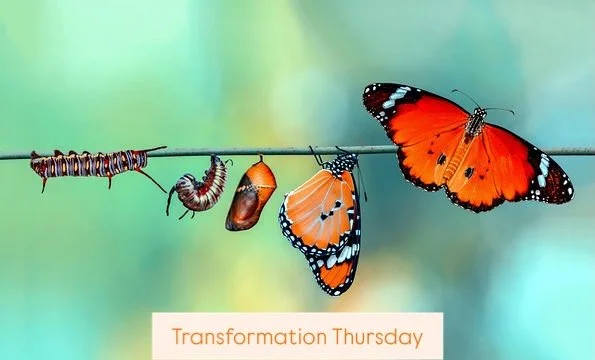 Transformation

It is always happening. But many times not on our timeline. 
We want it to happen faster. 
We don&rsquo;t want to feel uncomfortable. 

But transformation takes time. 
It&rsquo;s messy. 
It&rsquo;s on its own schedule &amp; timetable.