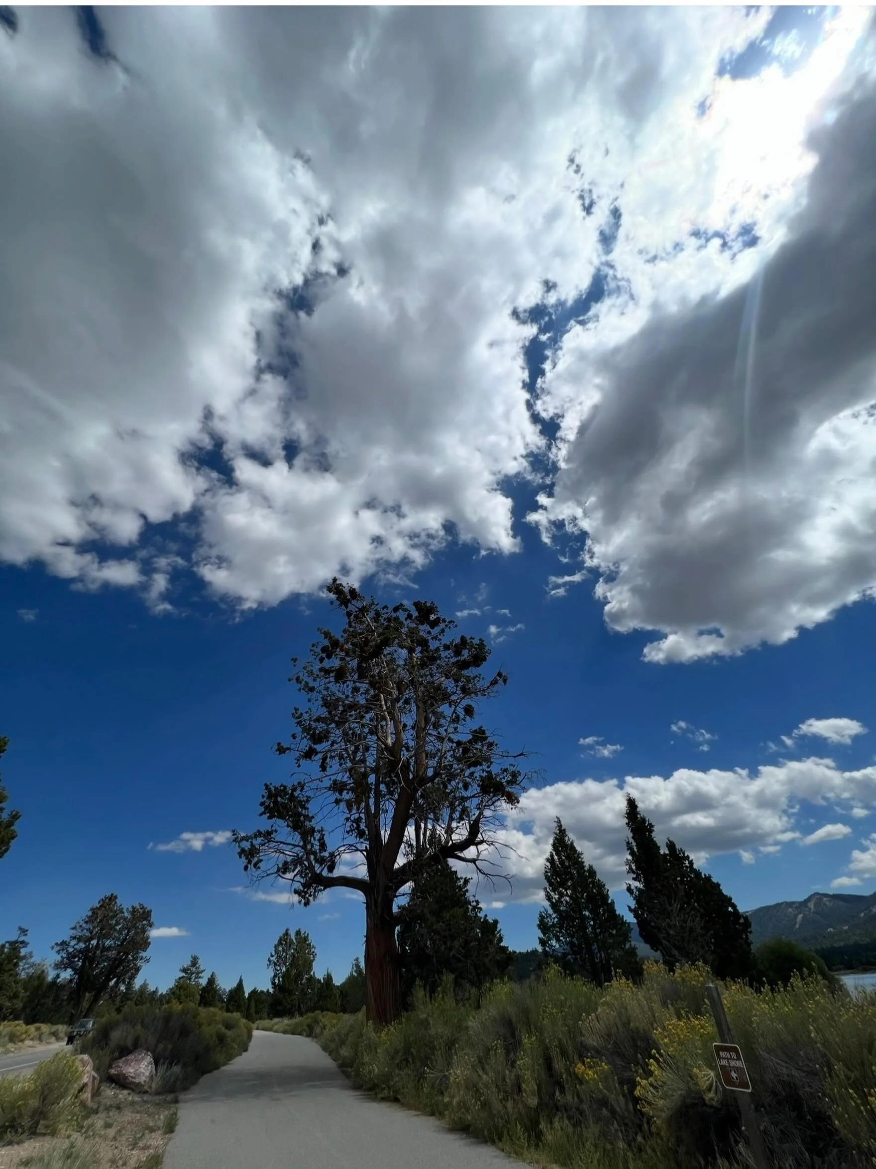 🌲 ✌️ ☀️ 

This morning my meditation 
was on &ldquo;alright-ness&rdquo;.

Everything is as it should be.
Everything is what it will be.

I cannot change the time the sun rises
or
the moon sets.

I cannot change the weather patterns
or 
when the leav