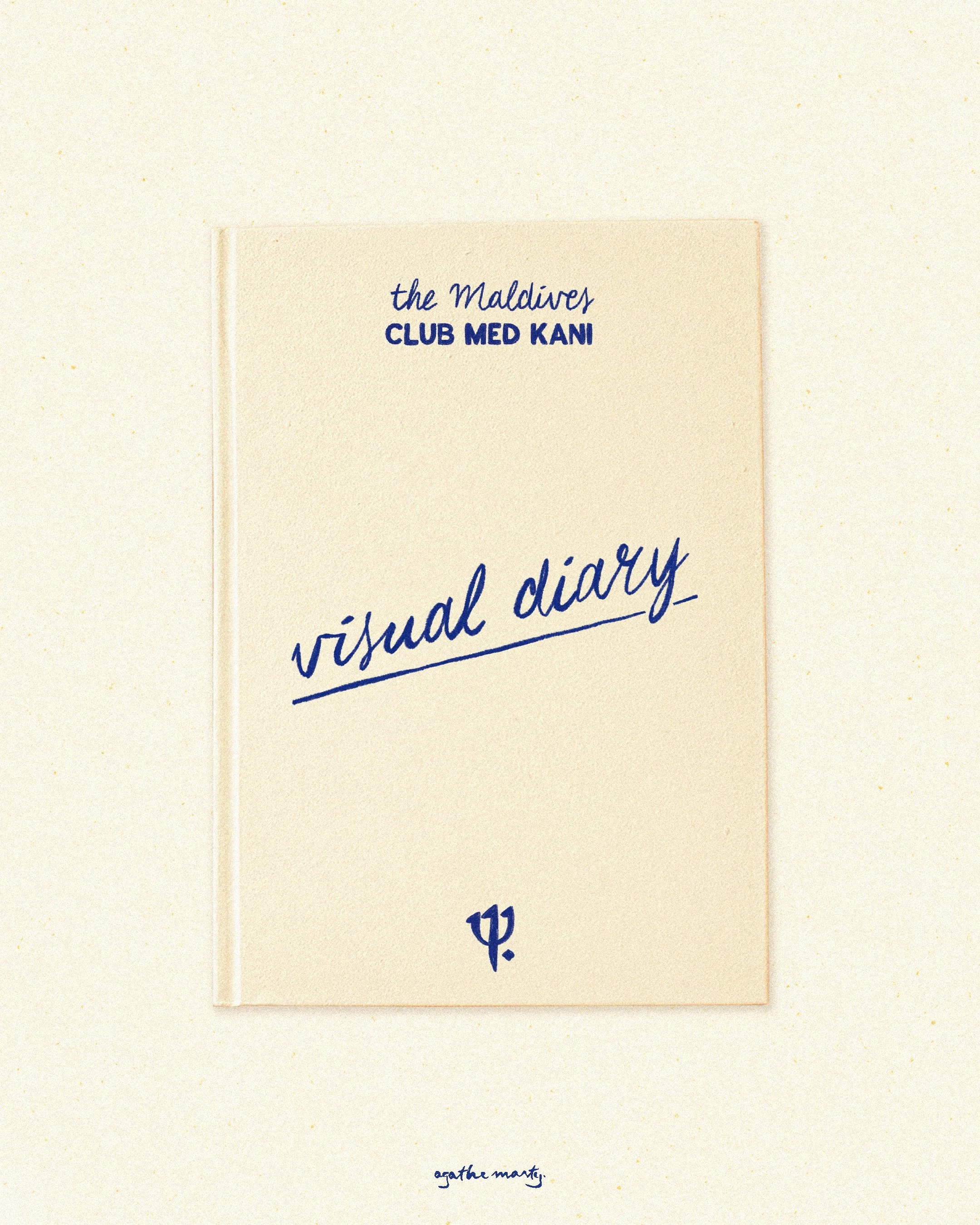 1-visualdiary.JPG
