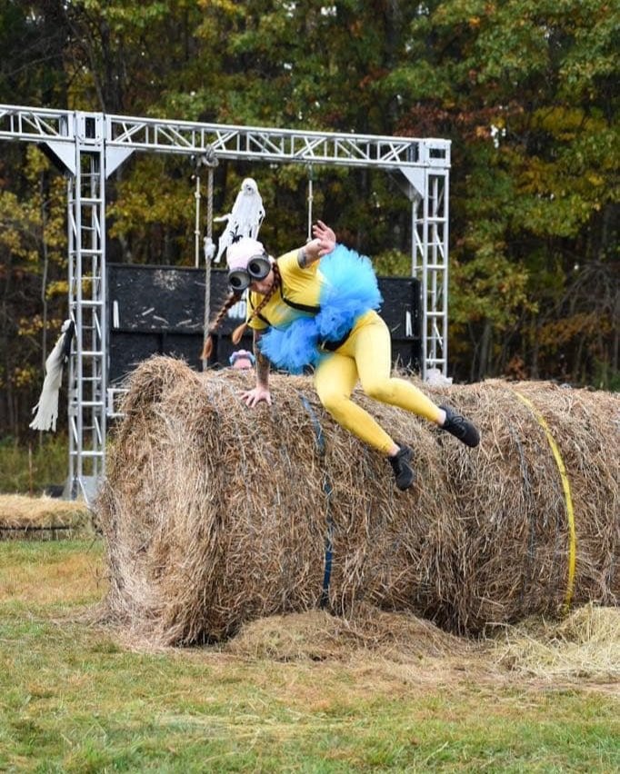 hayhurdle2.jpg