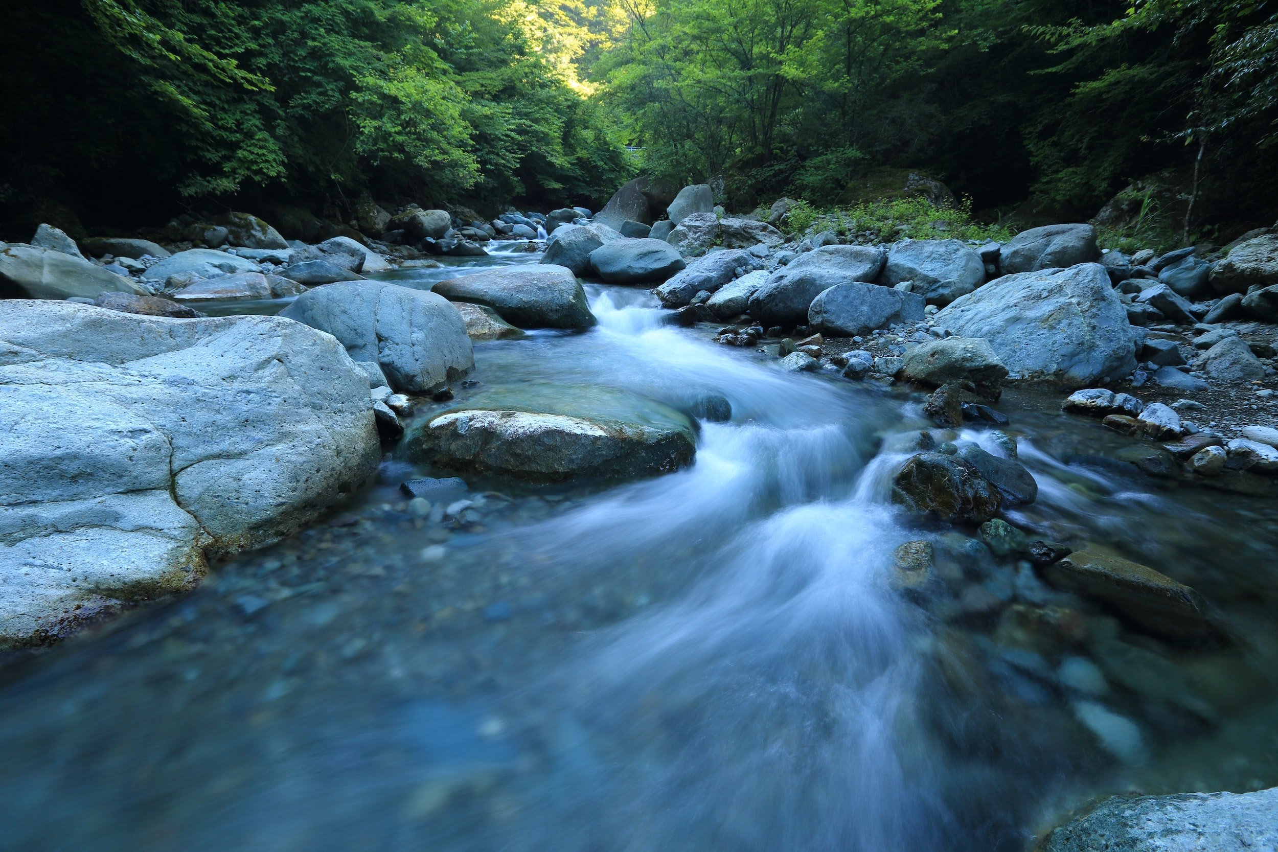 The Vayus: The Releasing Energy of Apana