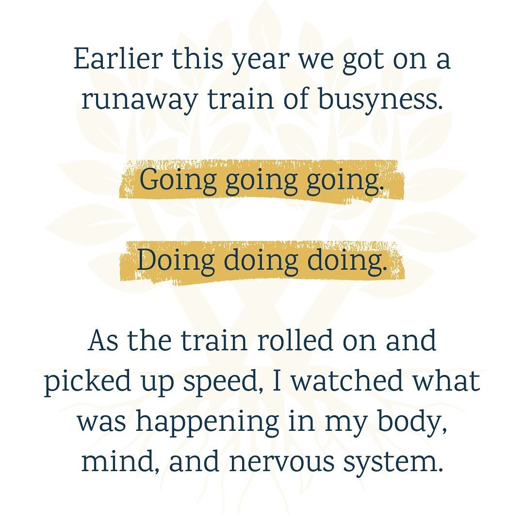 New writing on @substack! 

Create Calm, a mini-course on the Vagus Nerve, is part of the Intro Membership in the 20 Minute Miracles App. There is a tutorial, corresponding practice, and nervous system soothing breathwork. Check it out!

#20minutemir