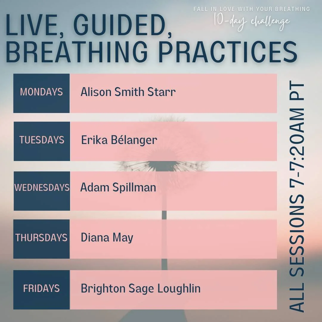 10 days. 5 teachers.                                1 life-changing practice