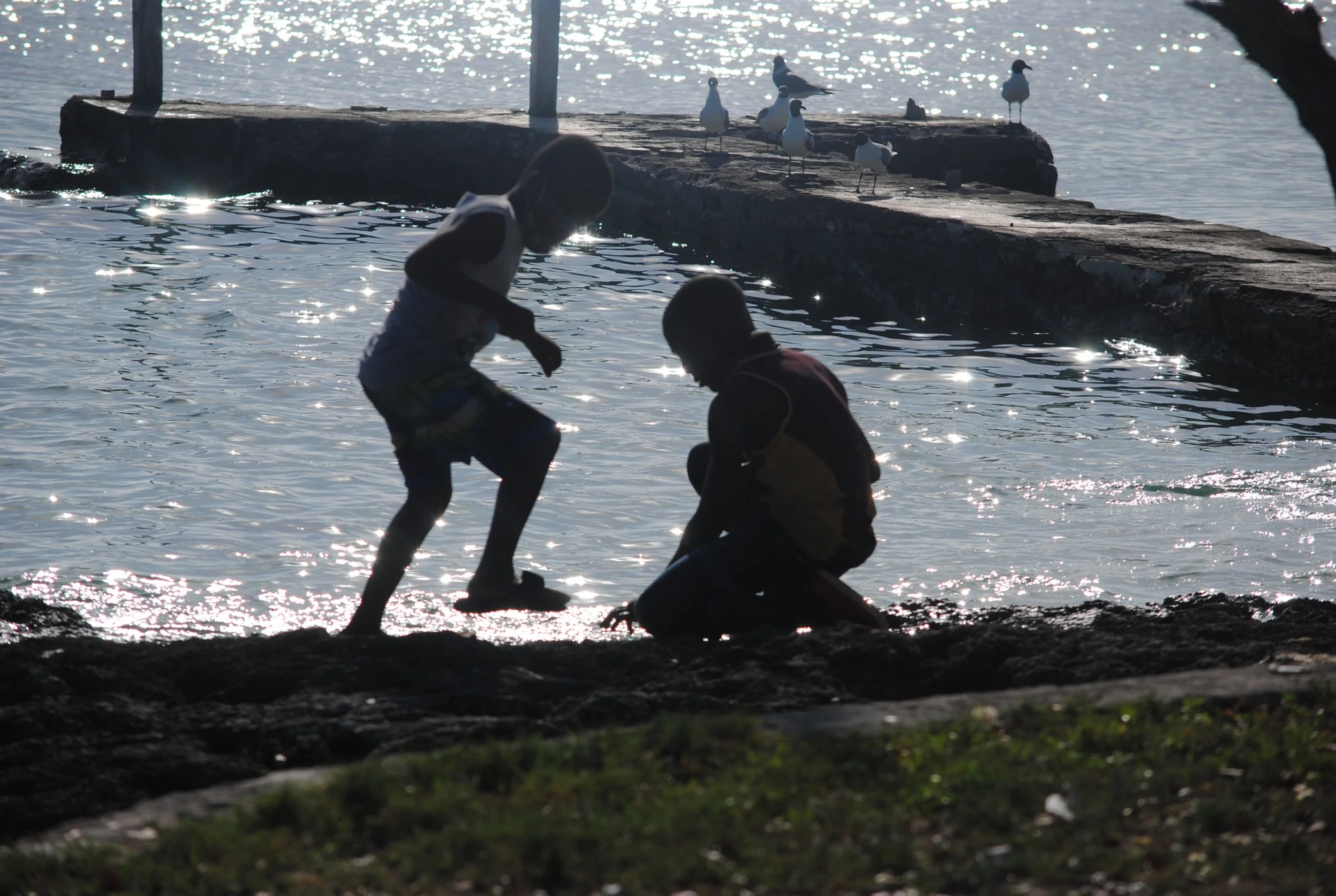 DSC_0024.JPG