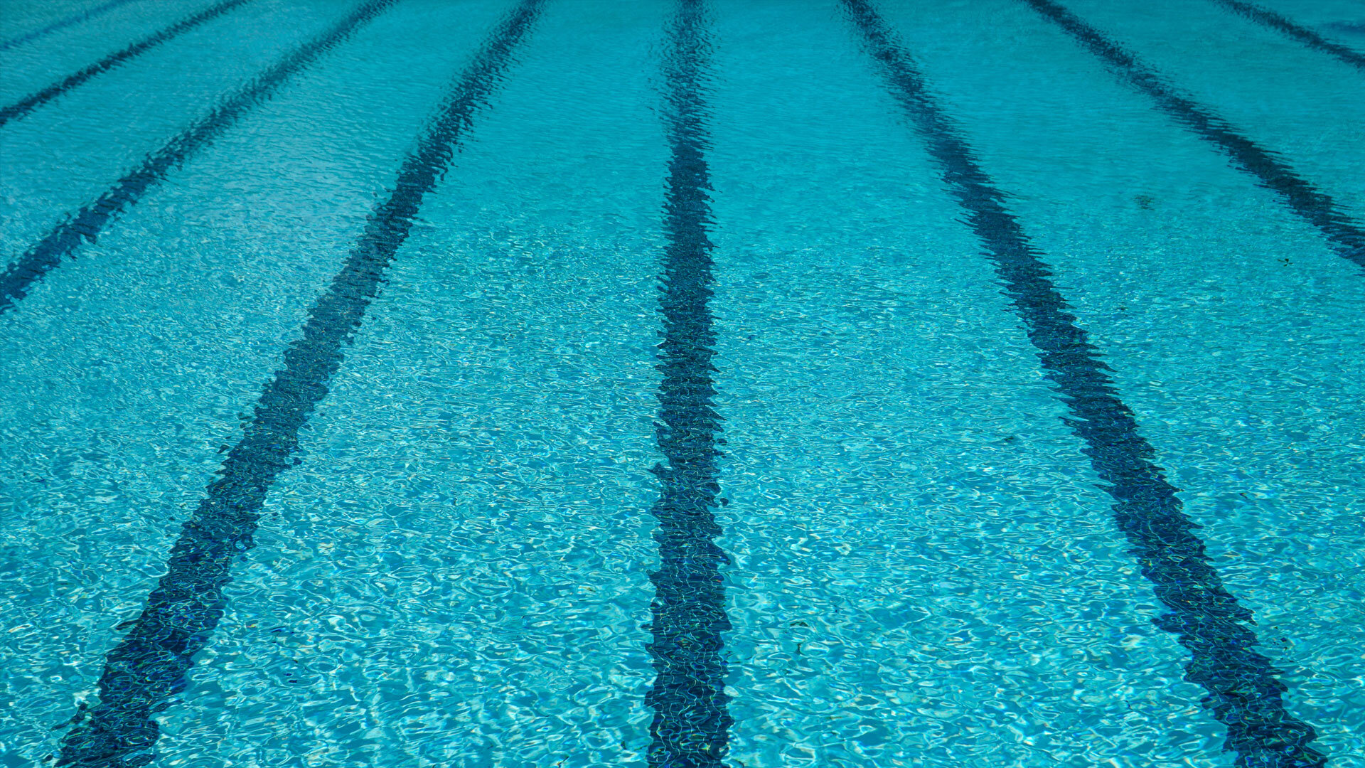Lane-Swimming-Header.jpg