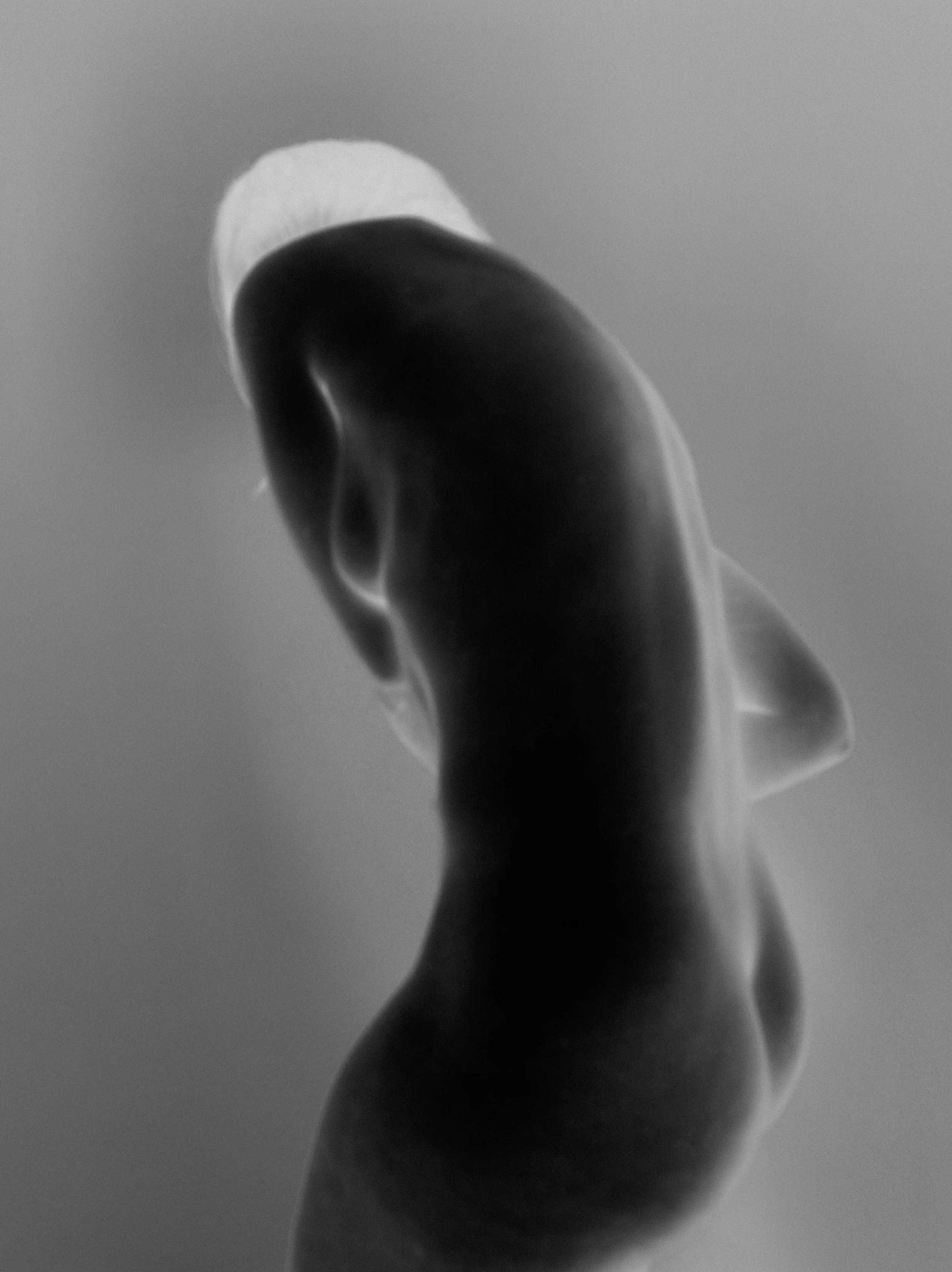 ©-Hector-Palacios_stella_bathroom_0006-8bit.jpg