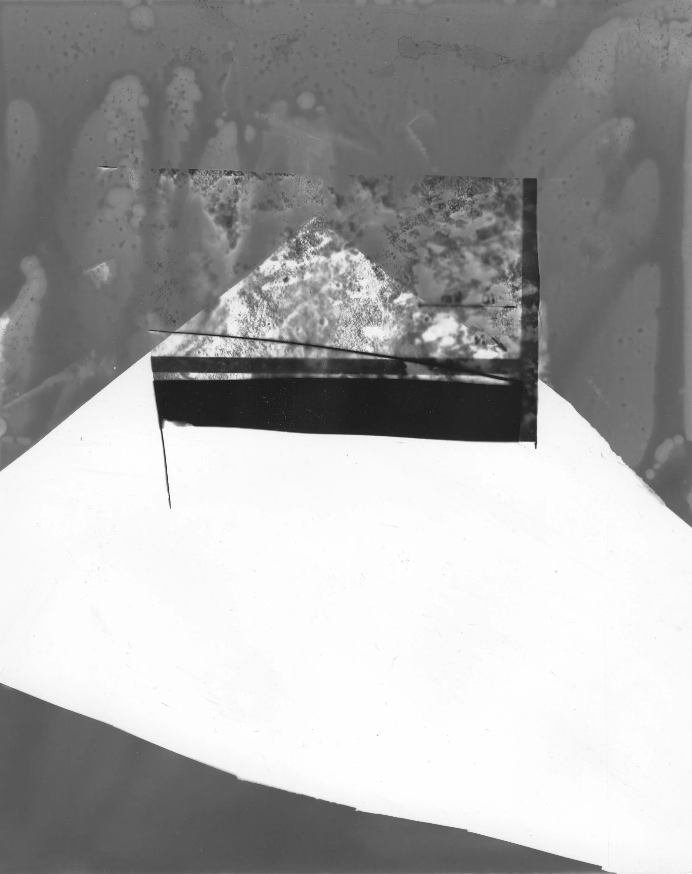 Earthlike Poems Cut Pages-11.jpg