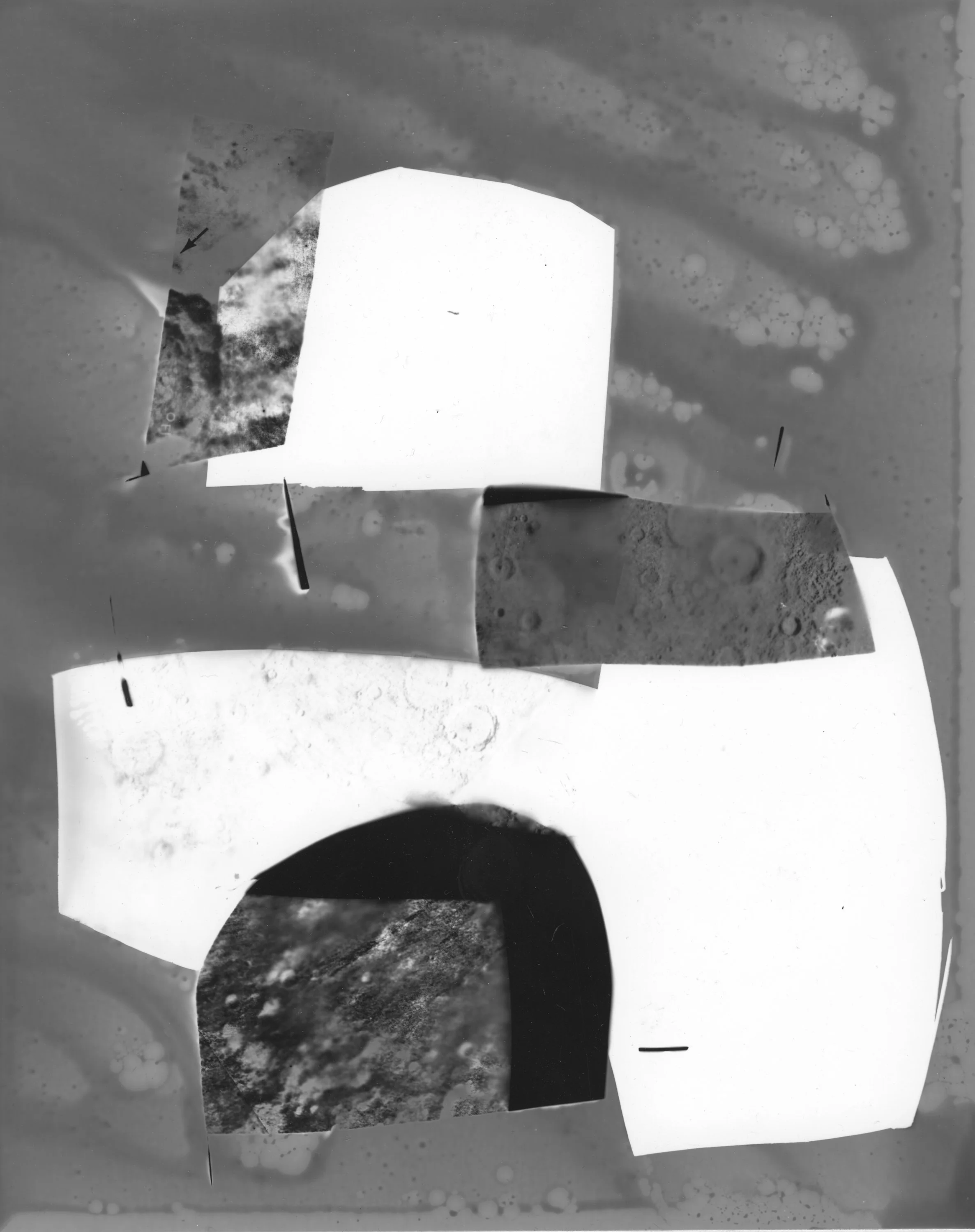 Earthlike Poems Cut Pages-12.jpg