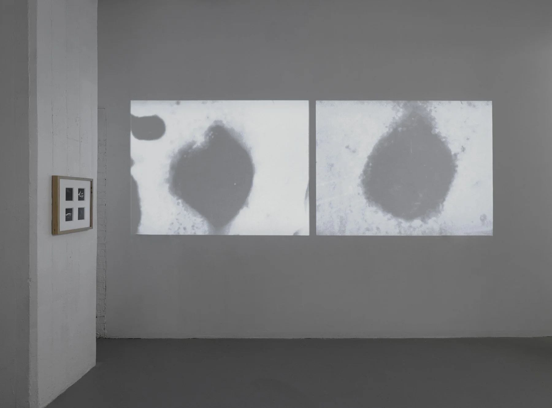 Exhibition Install TSA_2.jpg