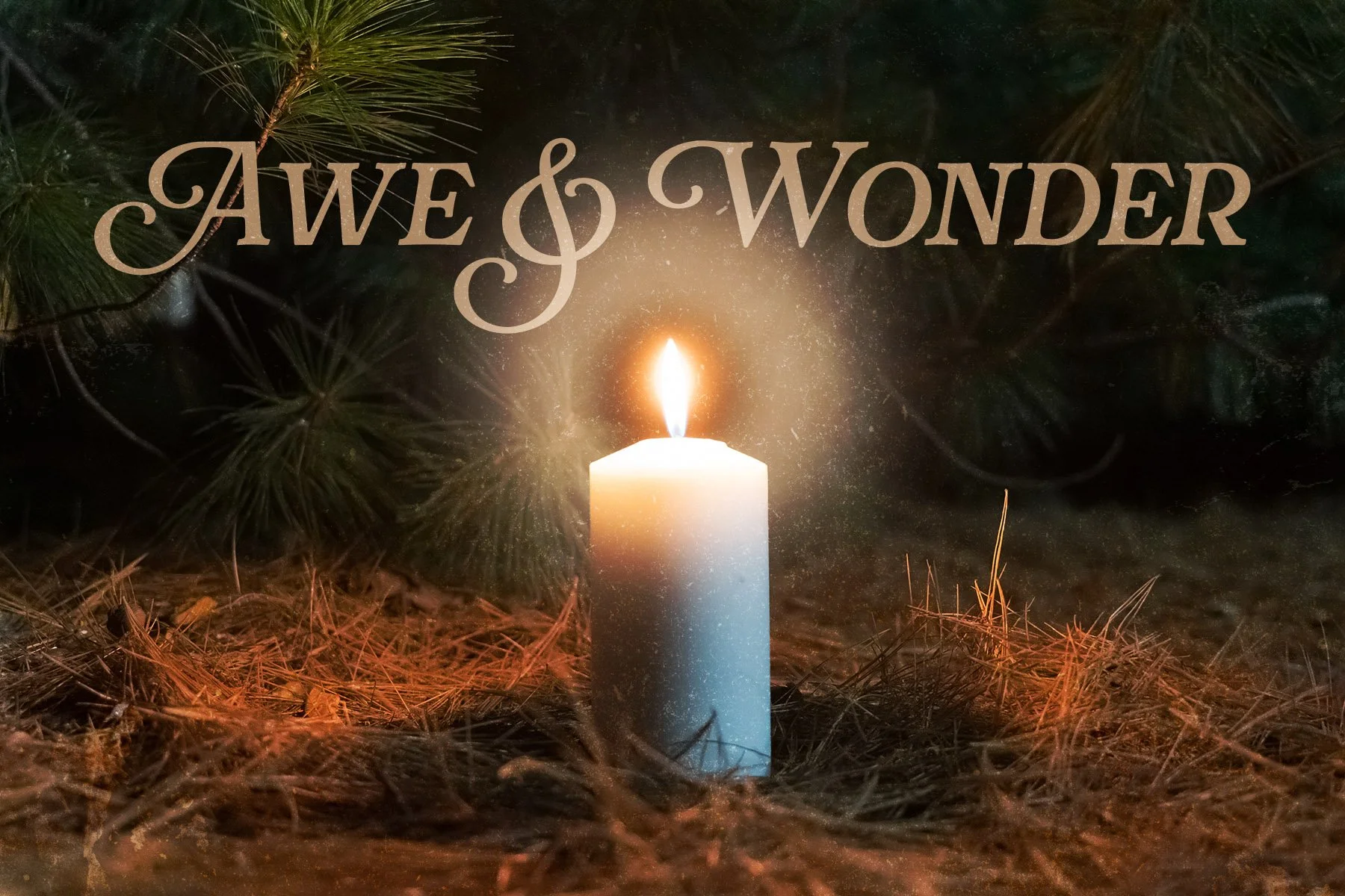 4x6_AweAndWonder_Back copy.jpg