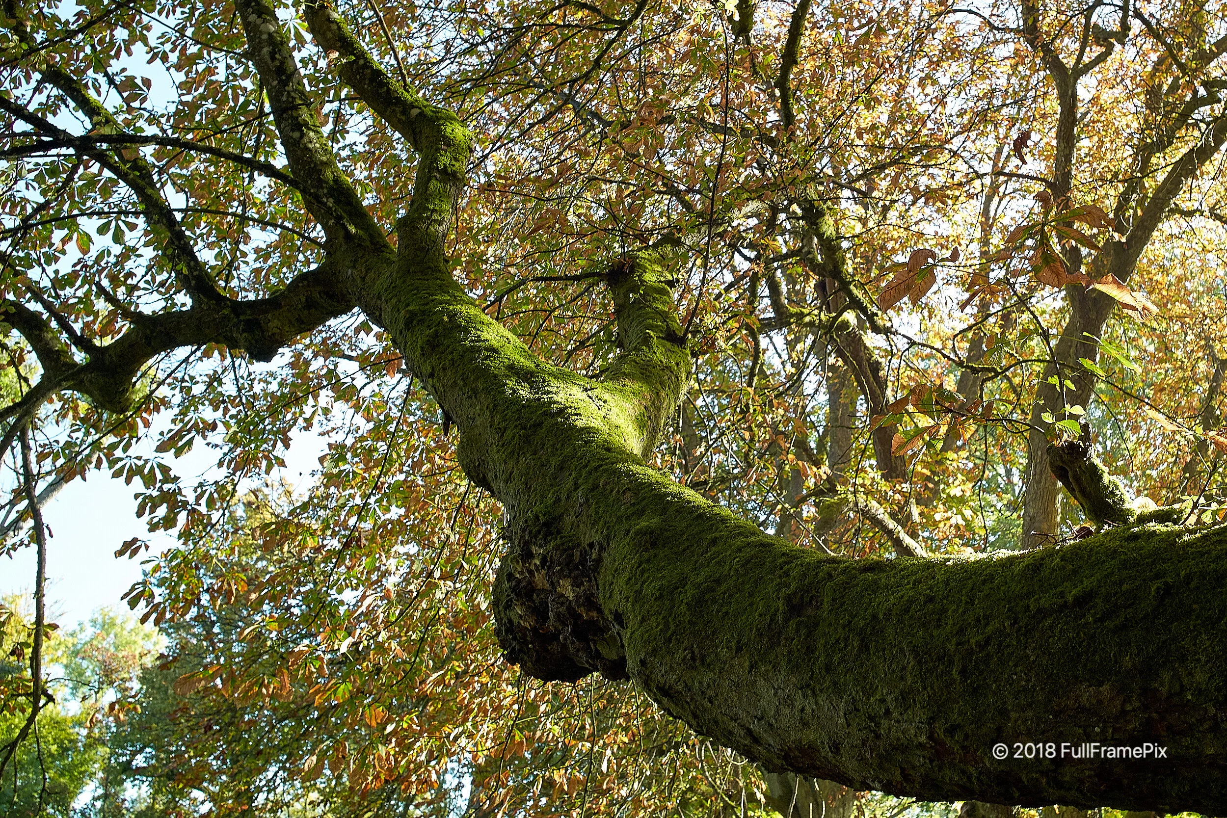 L1012011OUT.jpg