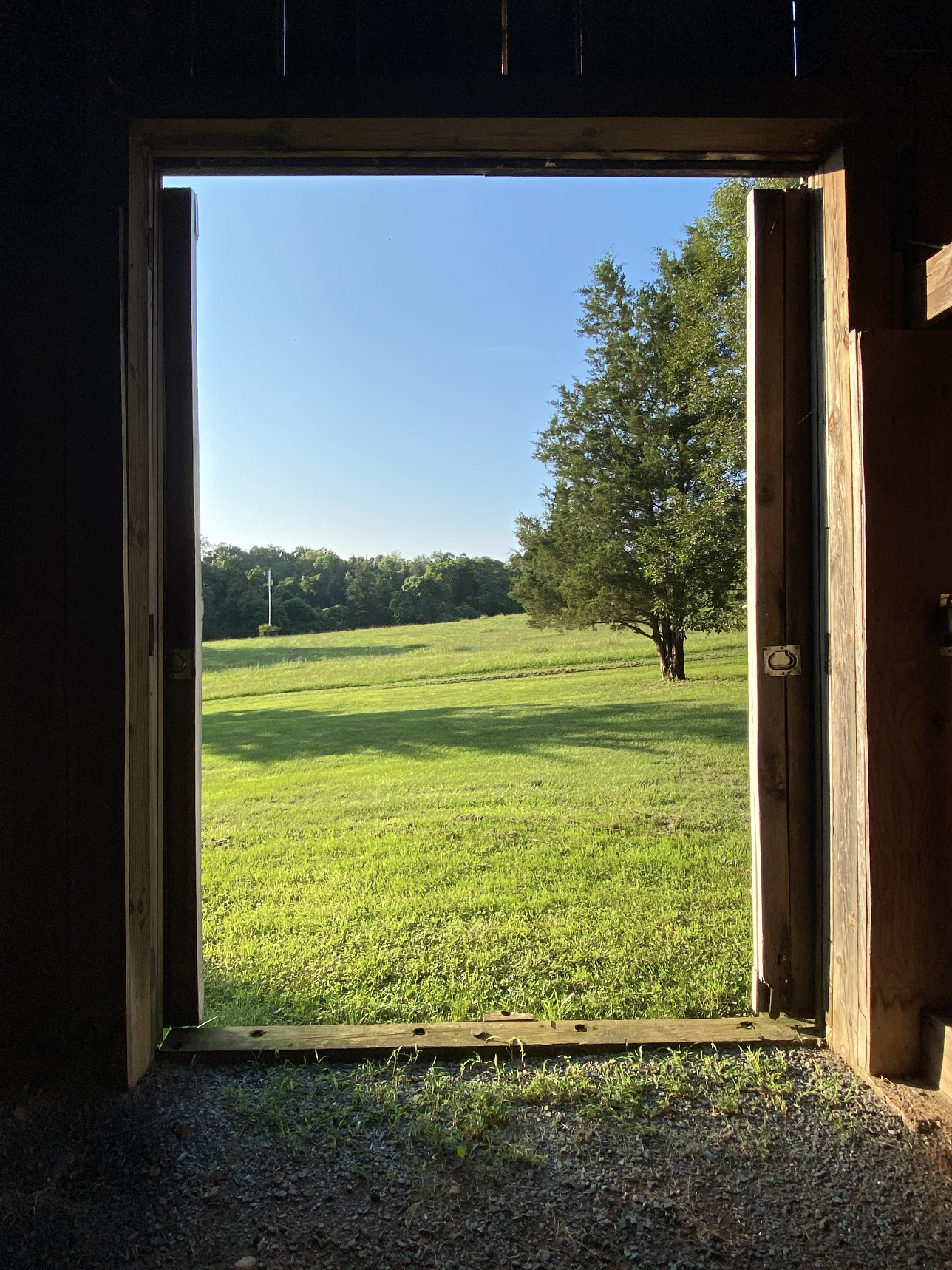 Screenshot 2024-07-18 at 12.48.27 PM.png