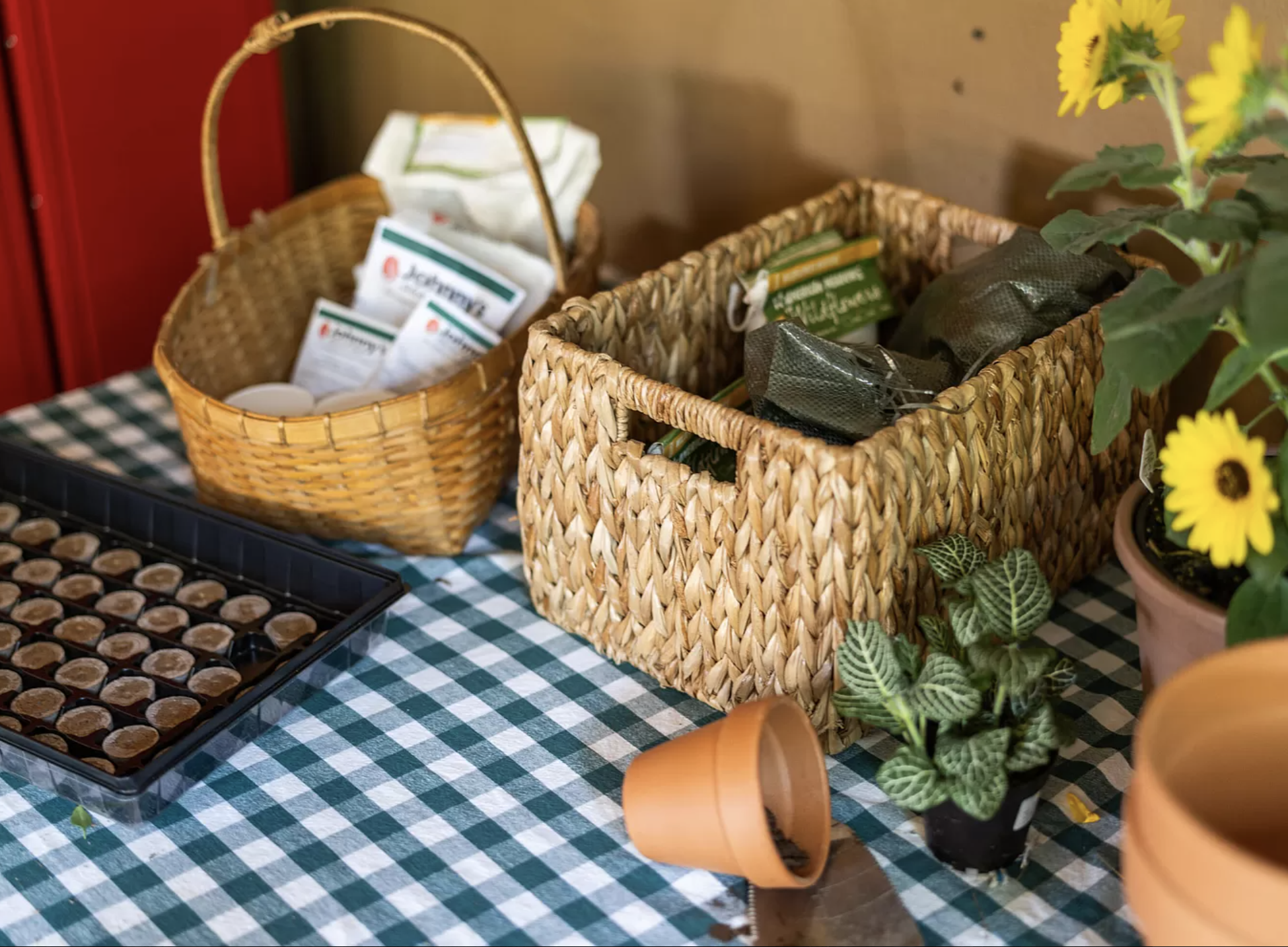 Screenshot 2024-07-24 at 12.39.34 PM.png