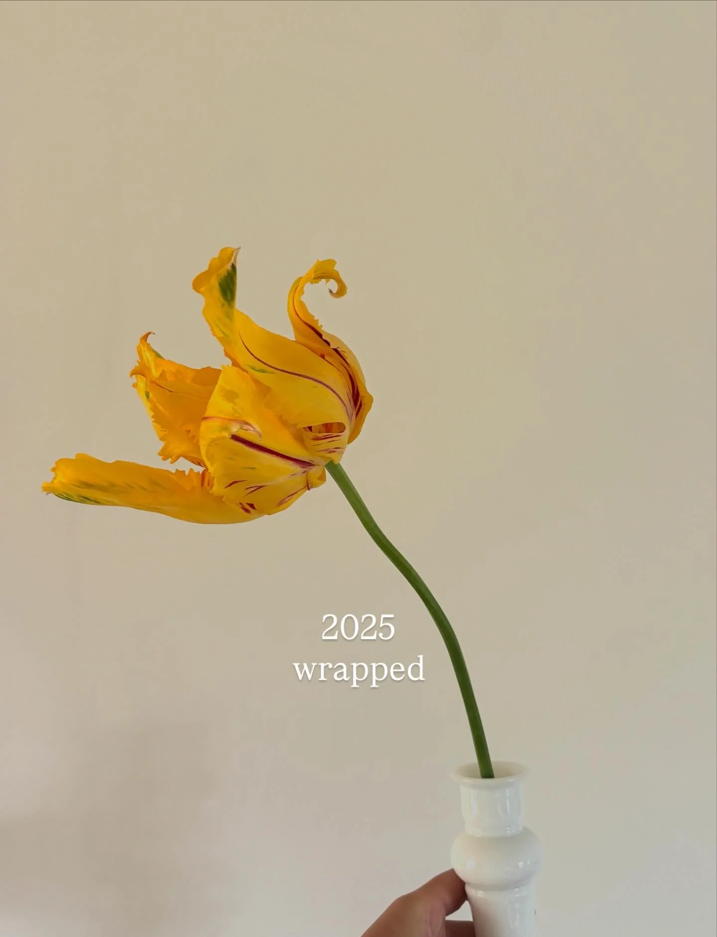 The year I nested like a maniac while helping people buy and sell homes, got my Brokers license, became a mom and took approximately one million pictures of all of the above! 

Full recap going out in my newsletter tomorrow 💌

I can&rsquo;t wait to 