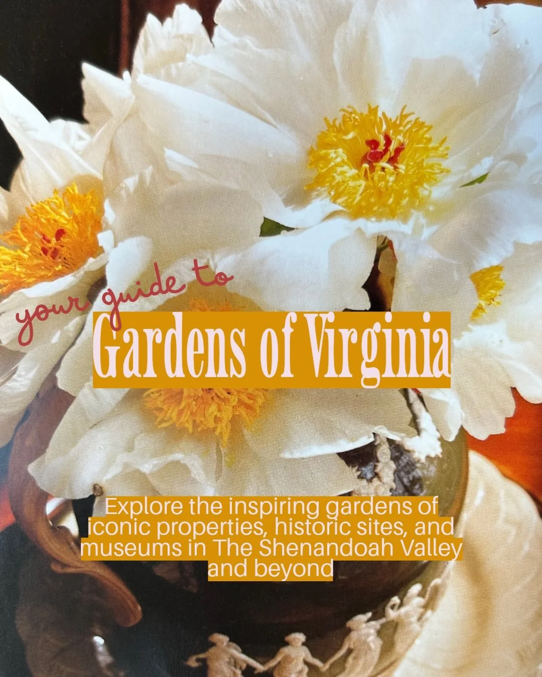 Comment GARDEN for the full guide to your inbox 🌸

This winter, I spent a lot of time at home. Almost too much. You might share in my desire to emerge from hibernation now that it&rsquo;s spring. 
 
Which is why I&rsquo;ve created this guide to Gard