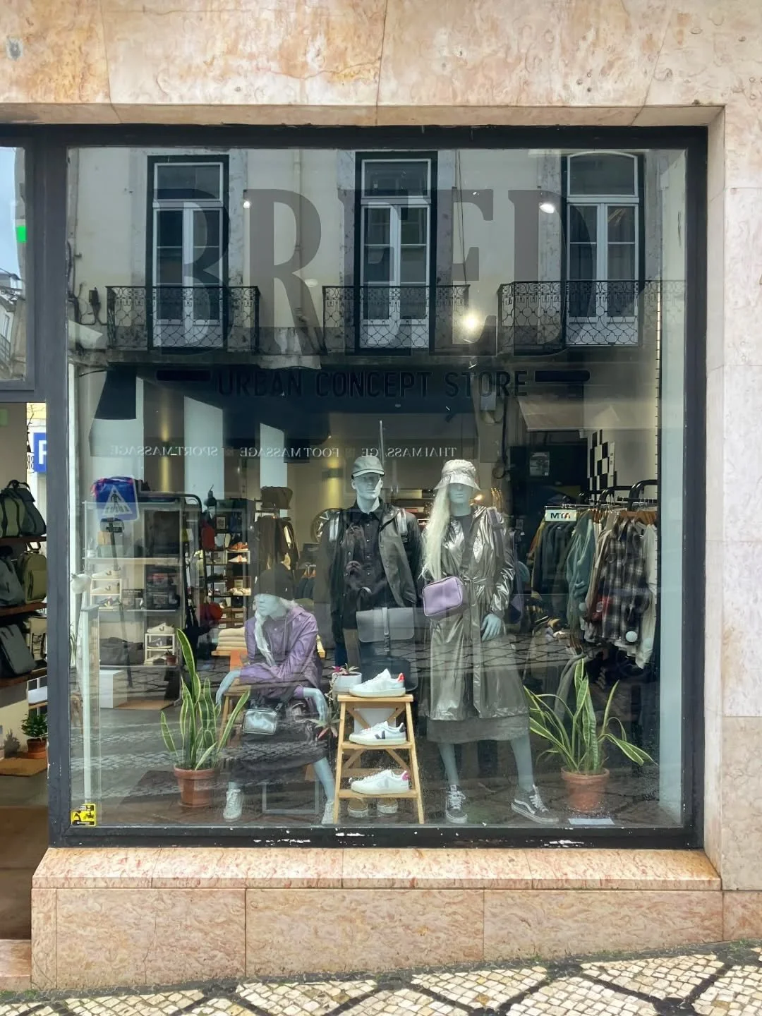 Montra Janeiro 2026

#rains #veja #breeducs