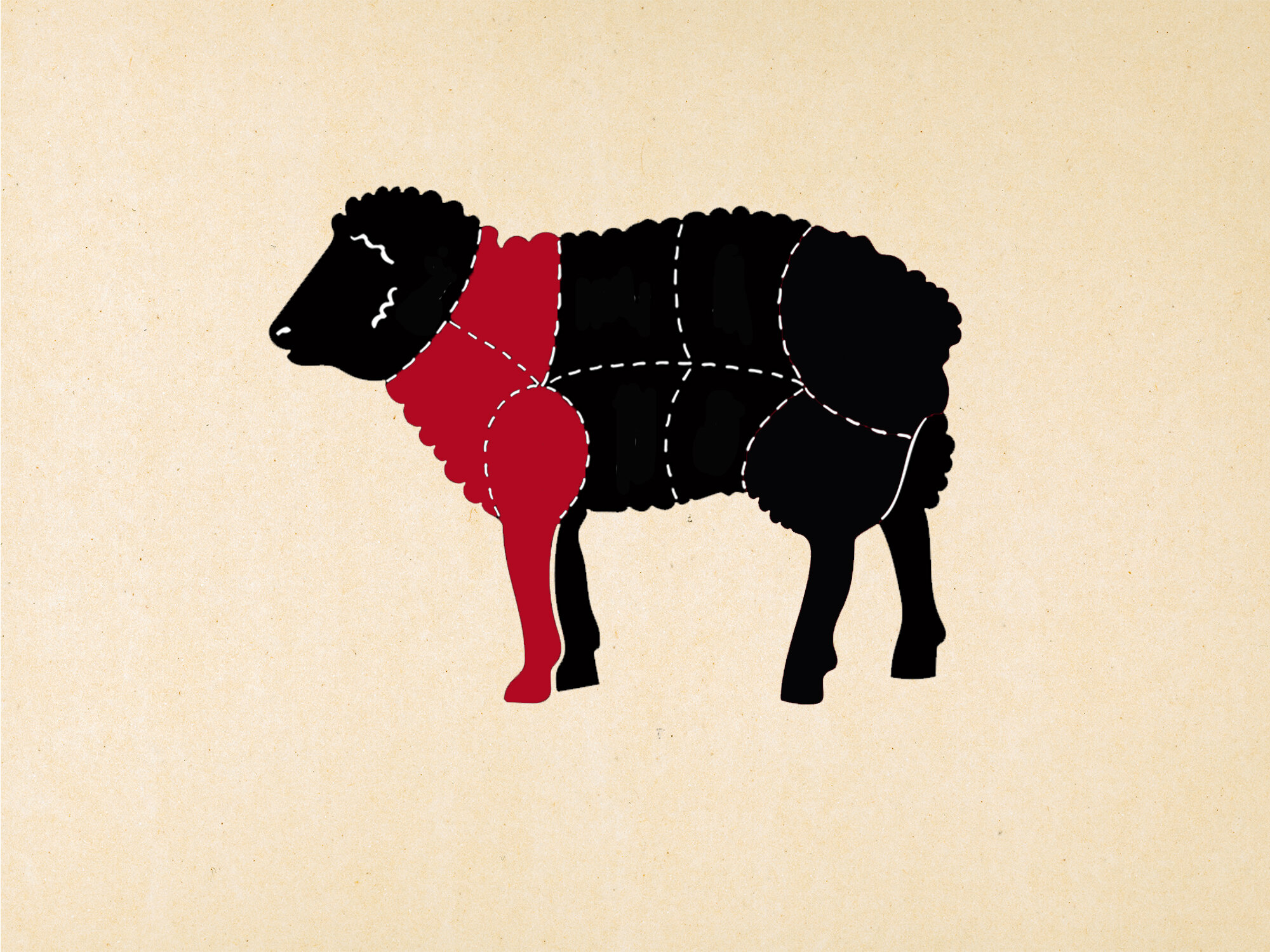 lamb shoulder animal diagram.jpg