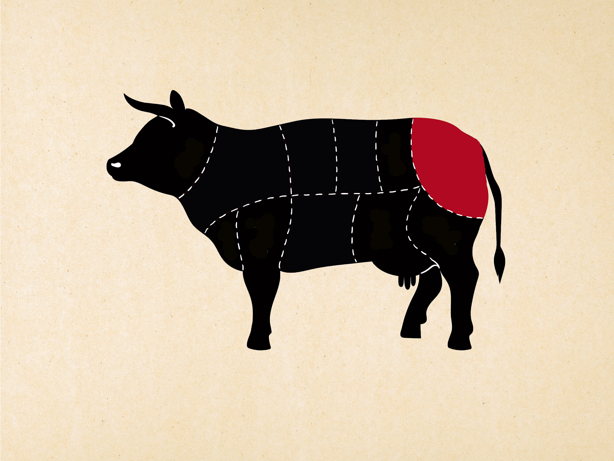 topside animal diagram.jpg