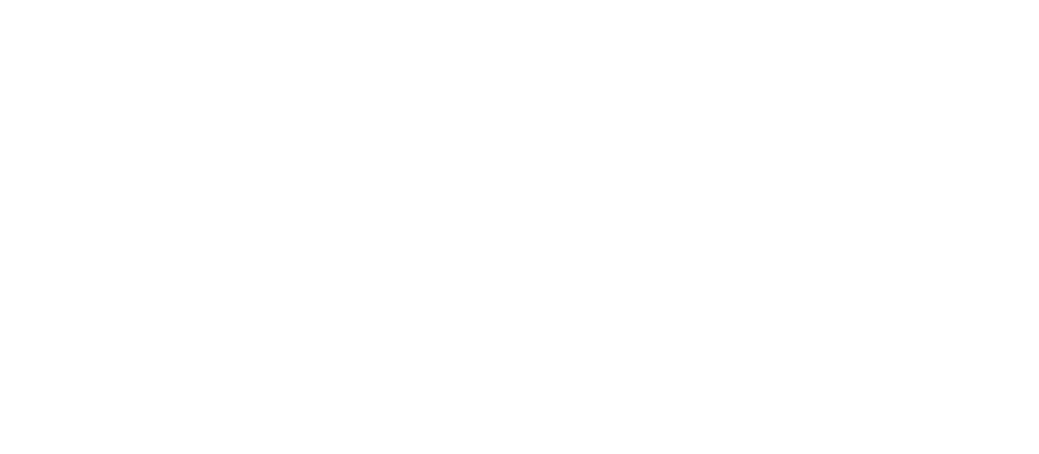 Conscious Space Economy