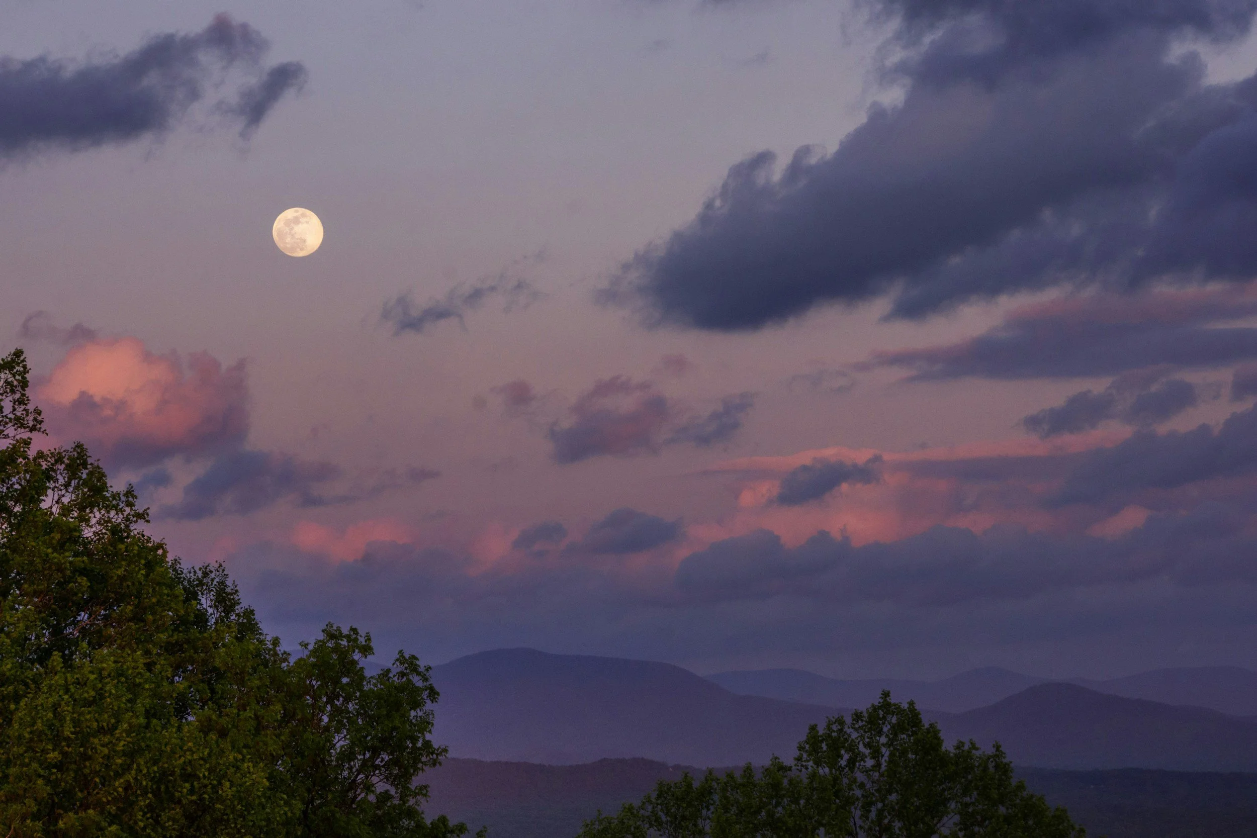 August Twilight