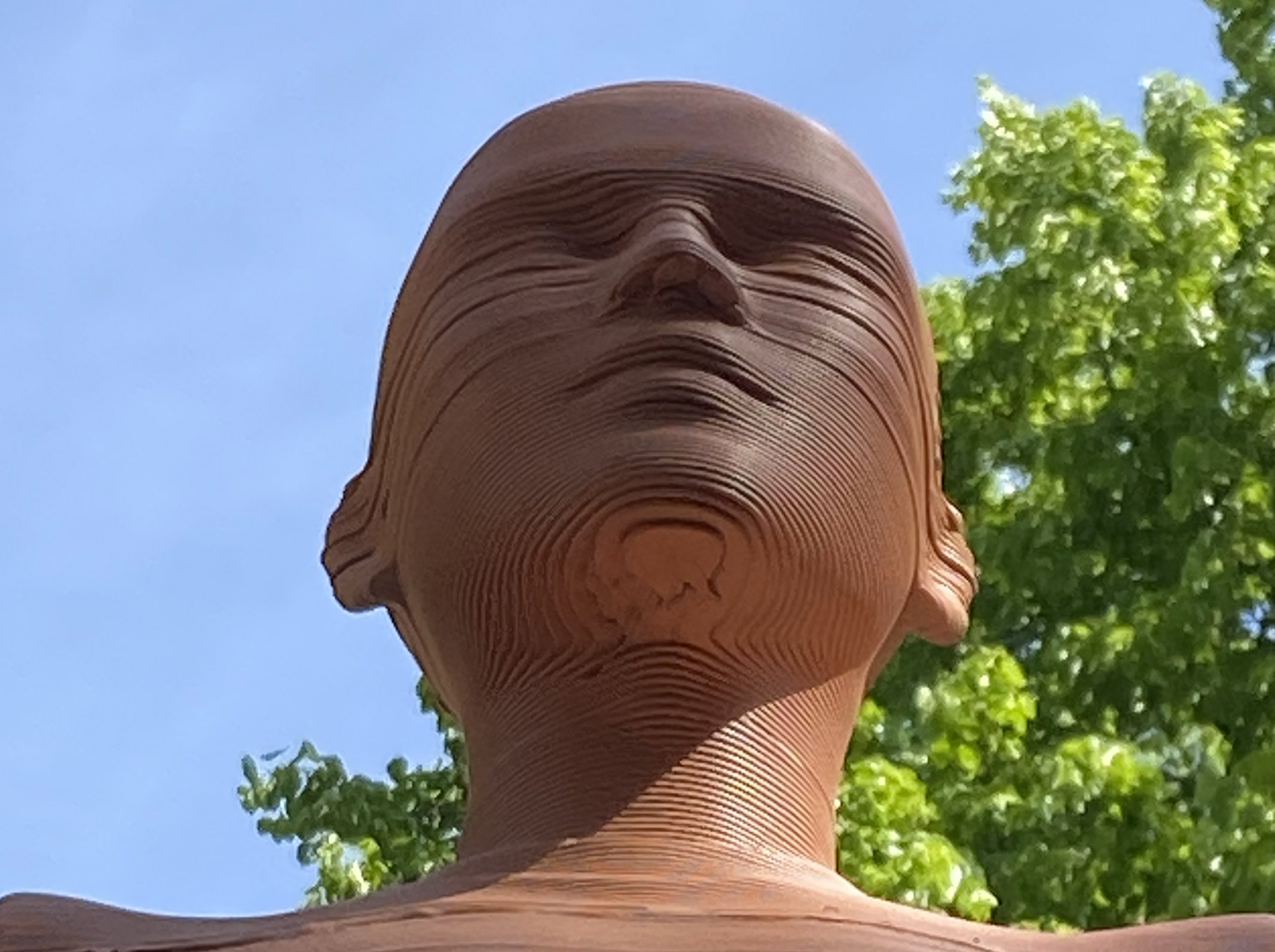 T-Pose digital us face2.jpg