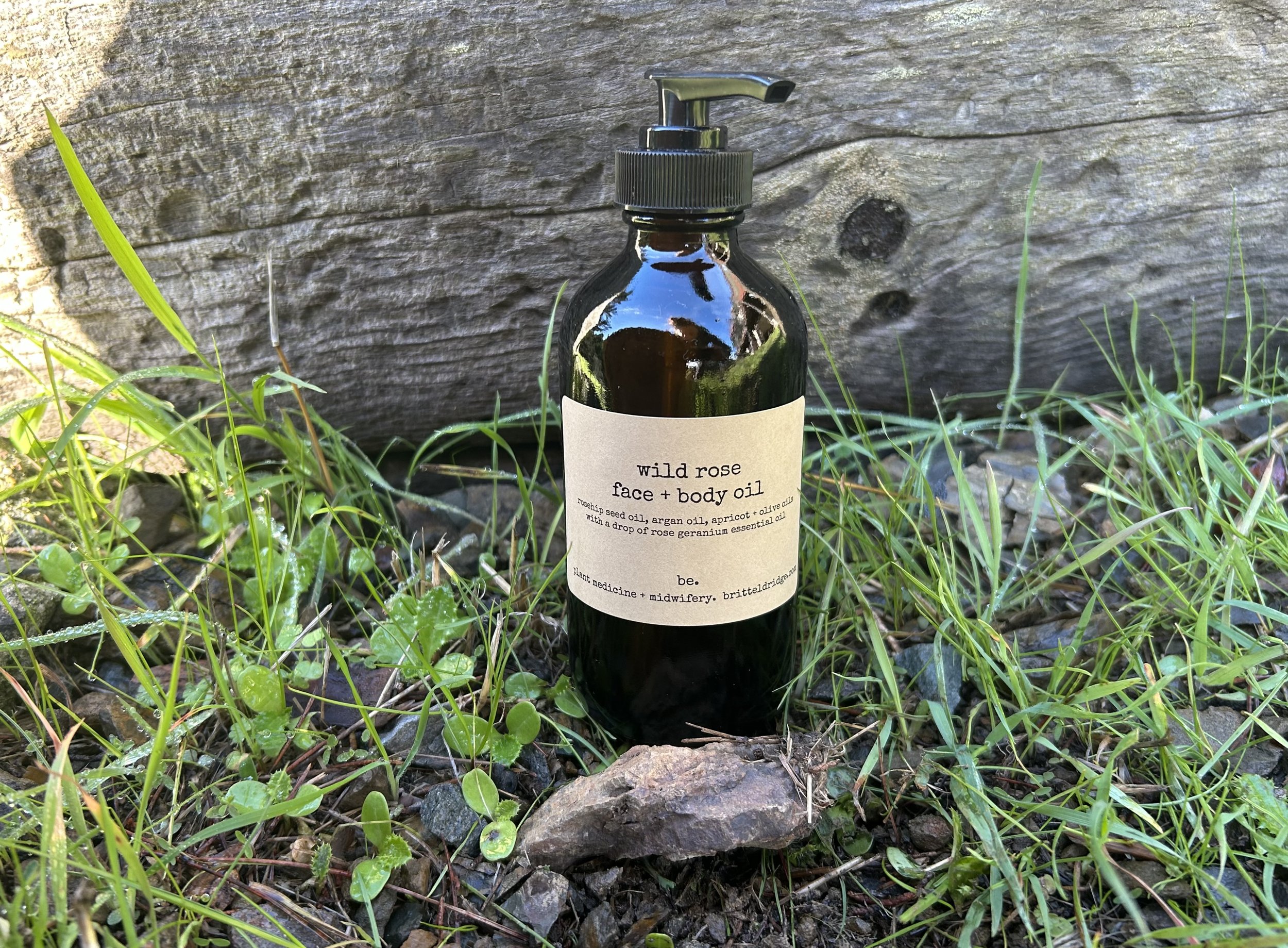 wild rose face + body oil