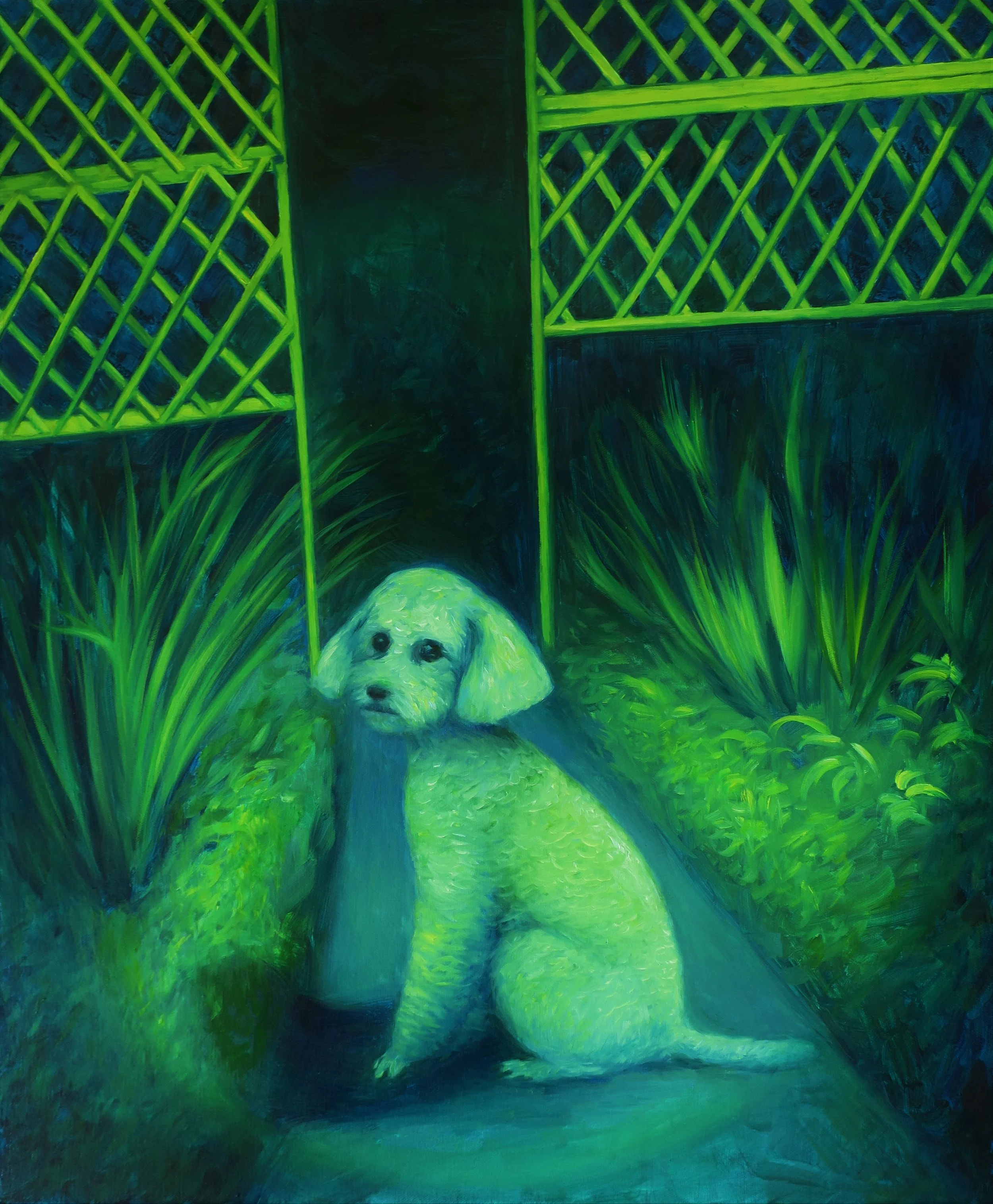 Lifshin_Katia_lonely poodle in the garden_oil on canvas_50x60 cm_ 2021.JPG