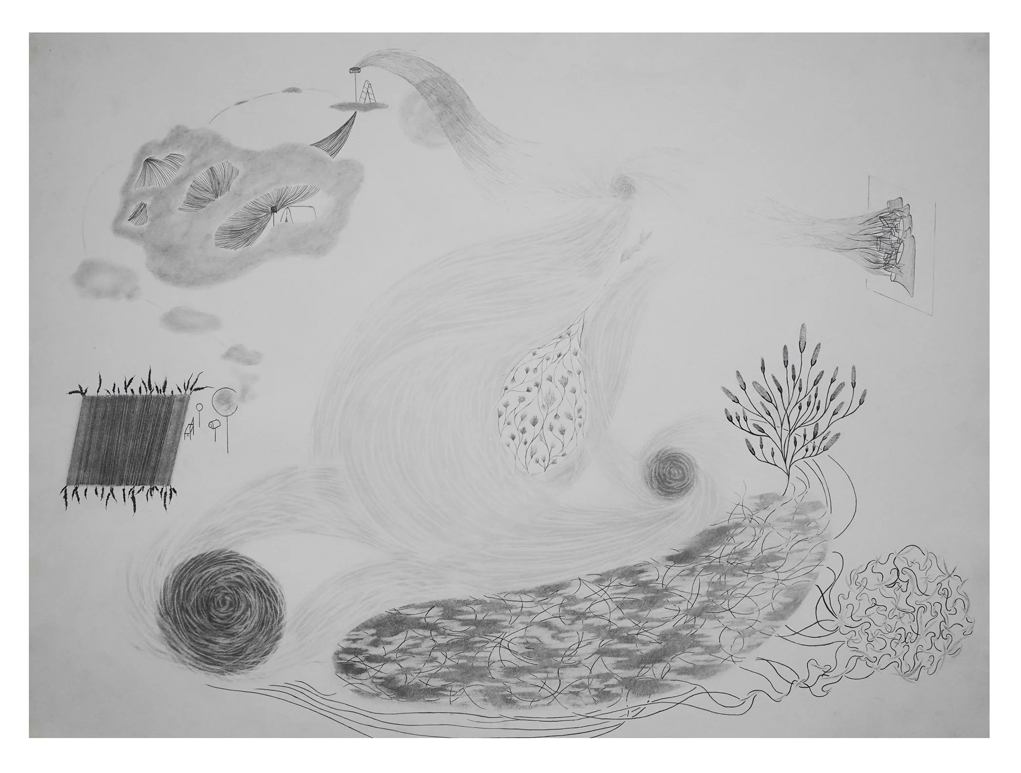Woosik_Choi_The Poem of ms_pencil on paper_22 x 40 in_2019.jpg