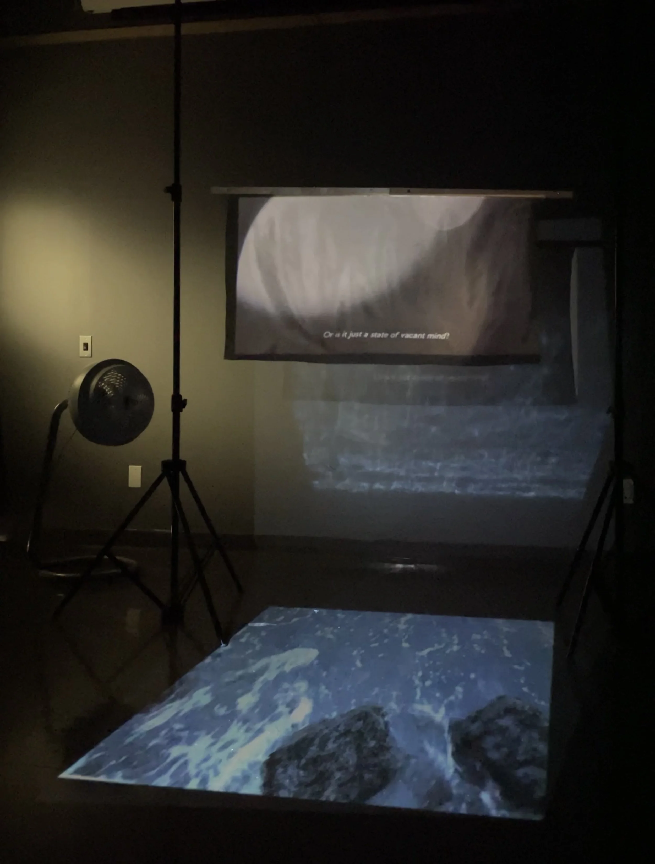 Kylie_Rah_Confusion_Multimedia; Two-channel Video Installation_Dimension Variable_2022.jpg