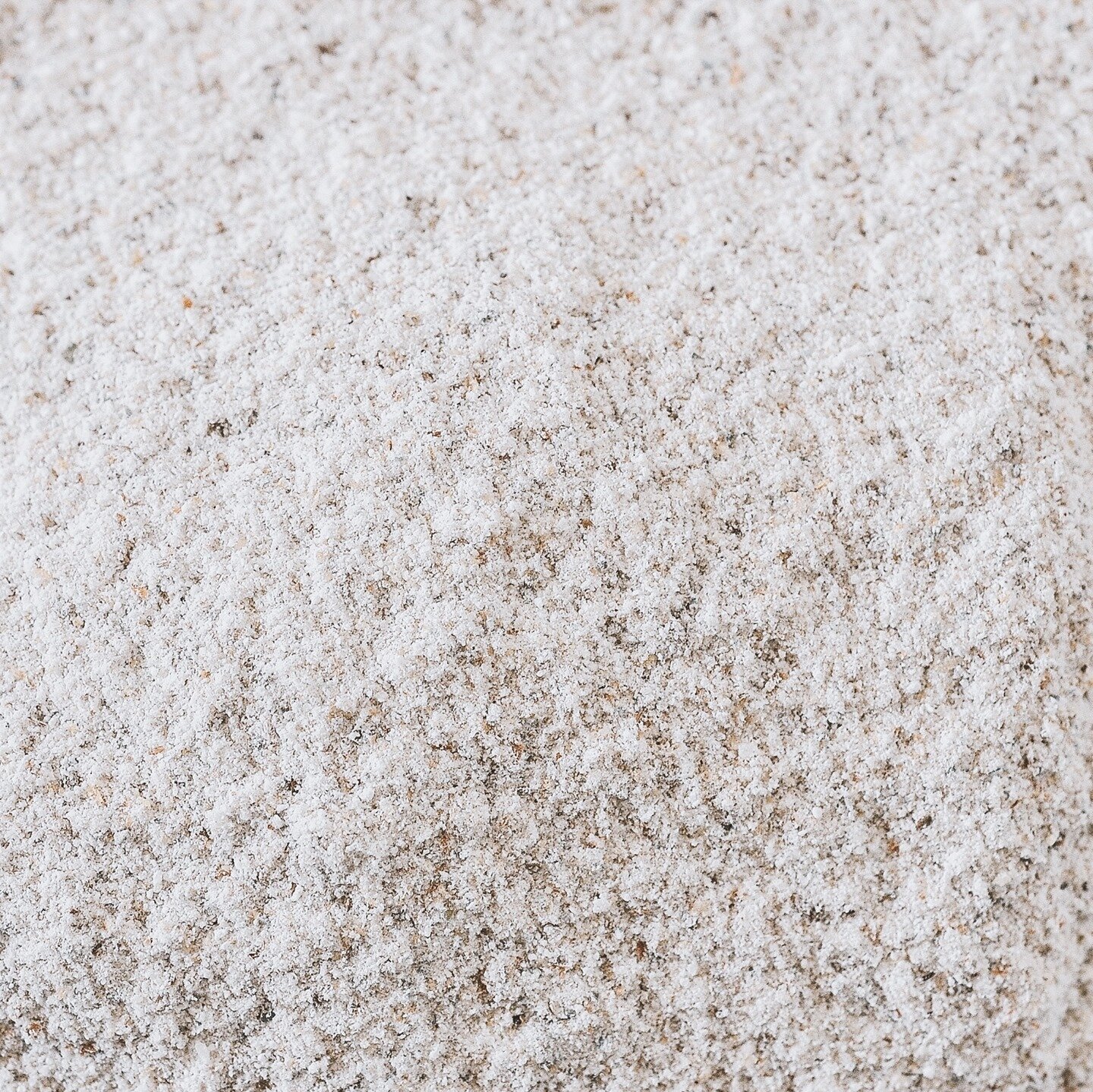 Fun rye flour fact of the day! ⁠
⁠
Did you know that besides the delicious flavour rye flour adds to baked goods, whole grain rye has many health benefits too! Just to name a few:⁠
✔️ Improved bowel health ⁠
✔️ Better blood sugar control⁠
✔️ Reduced 