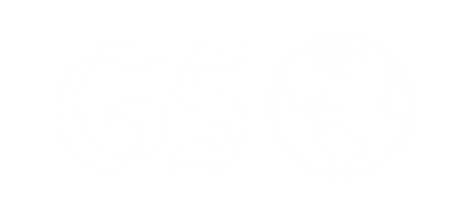 GS WORLD