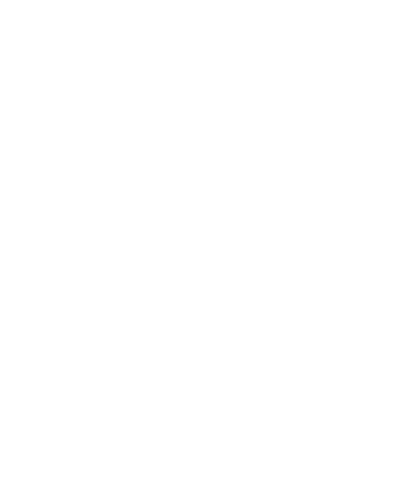 STANDARD.png