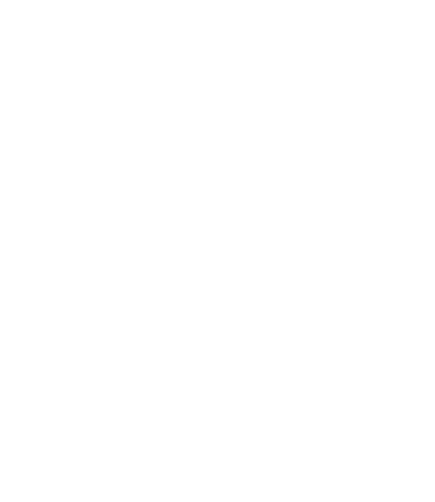 STANDARD.png